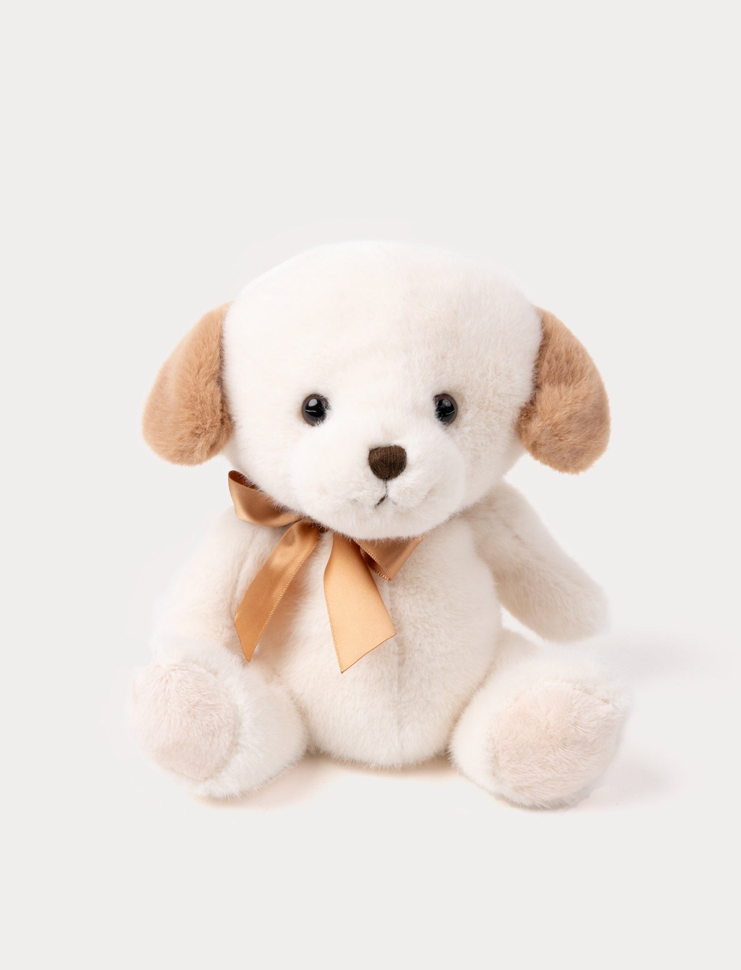  Image of A small cuddly pup with soft fur, a satin bow, and light beige paws.