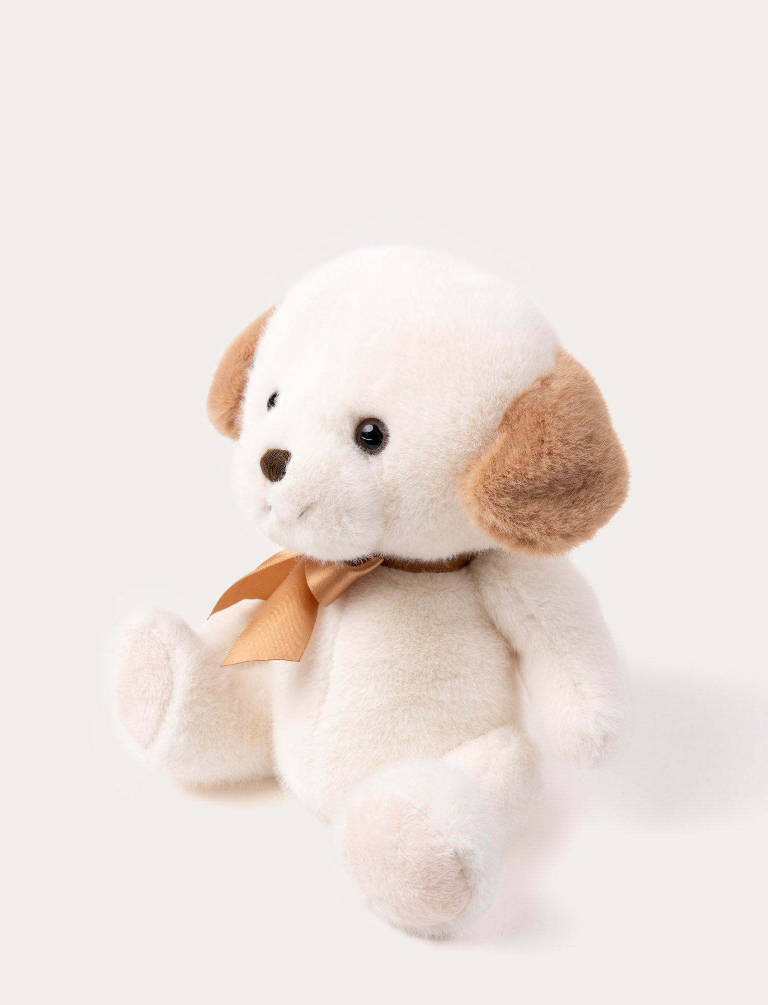  Image of Bestie Bella, Dog