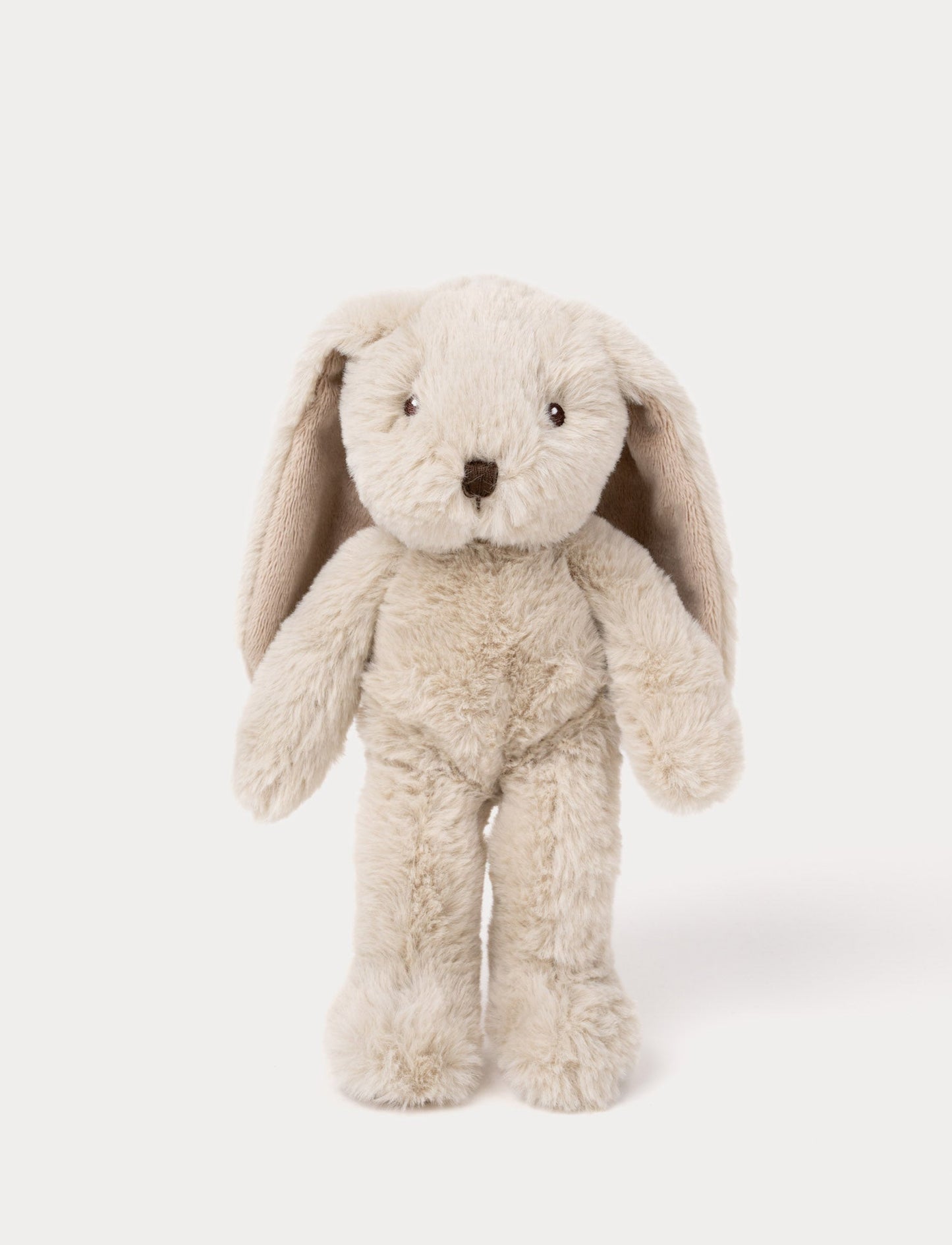 A bunny with soft beige fur, a brown nose, and a charming expression.