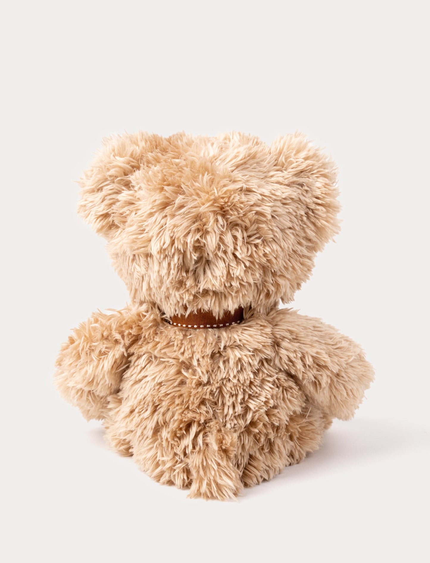 Roger, Teddy Bear, Small