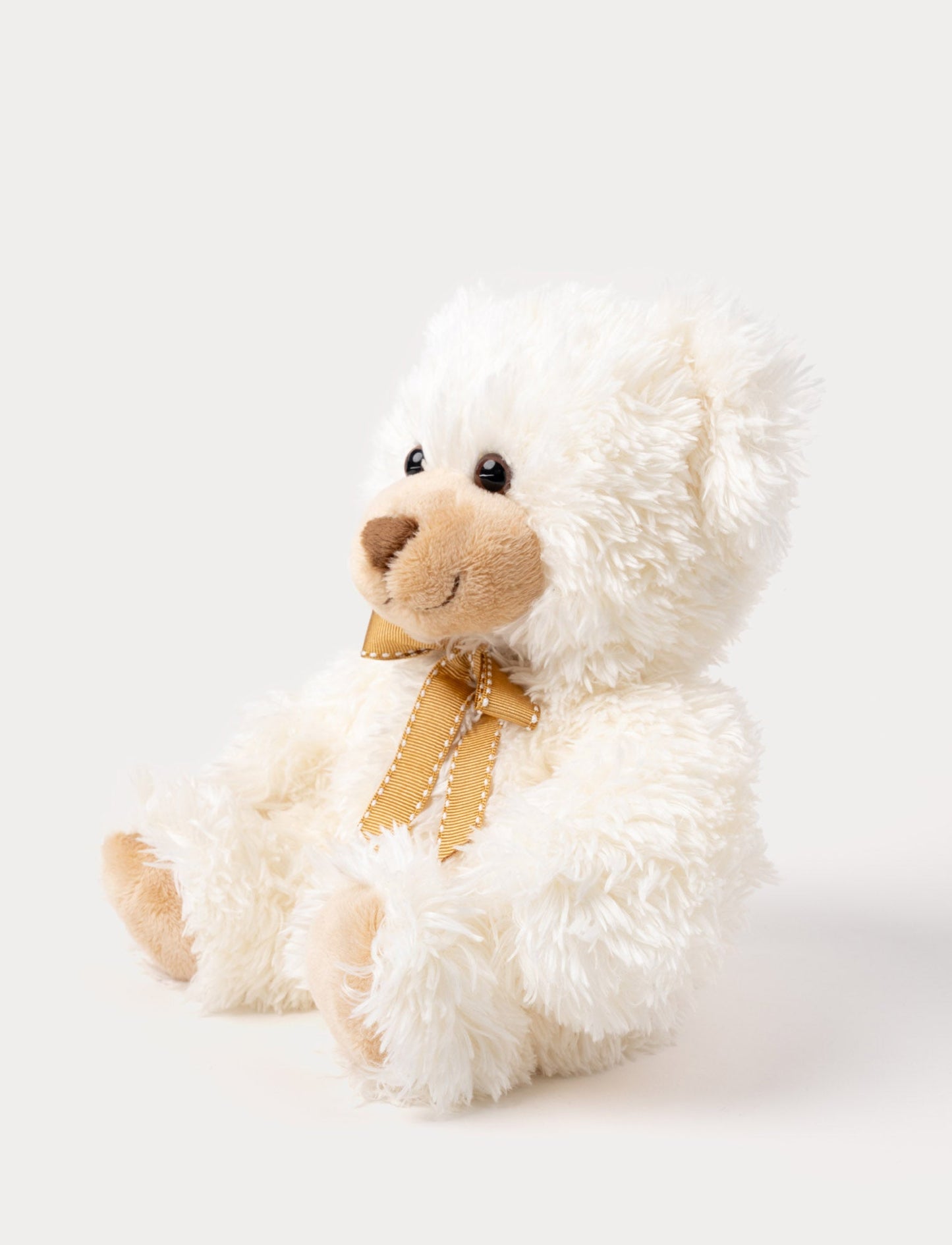 Roger, Teddy Bear, Small