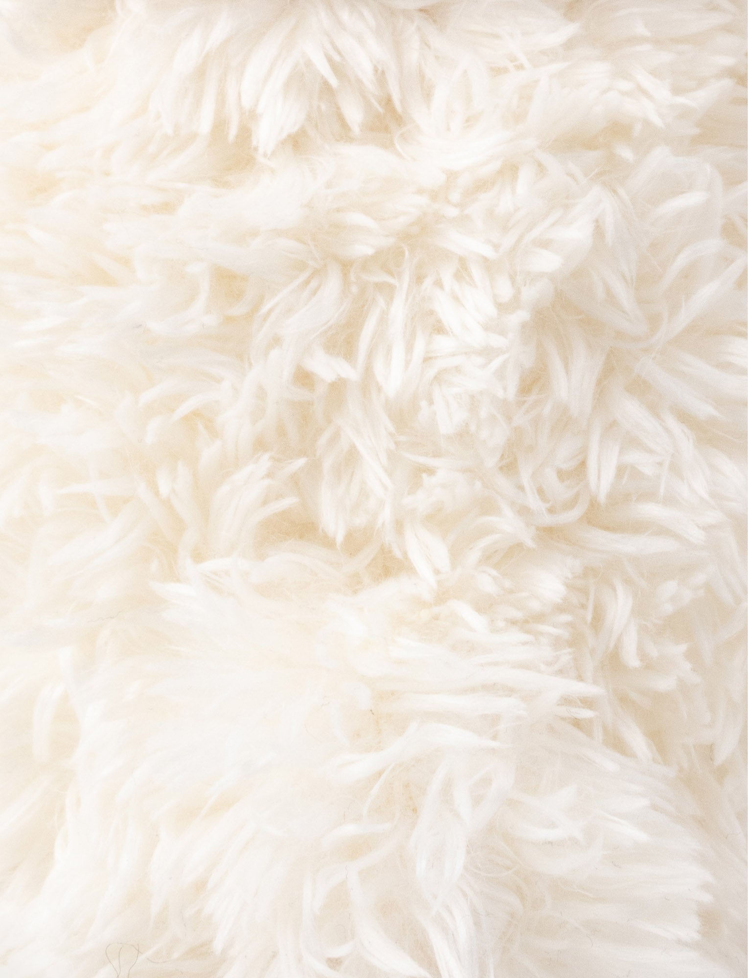  Image of Roger, Teddy Bear, Small