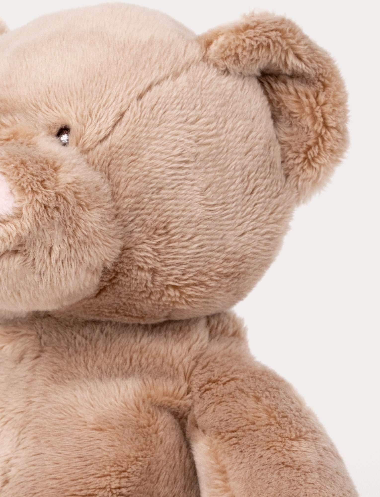  Image of Wilmer, Teddy Bear