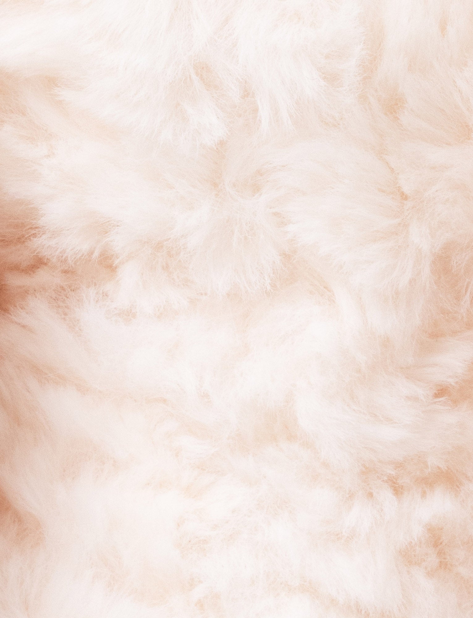  Image of Linnea, Kanin 