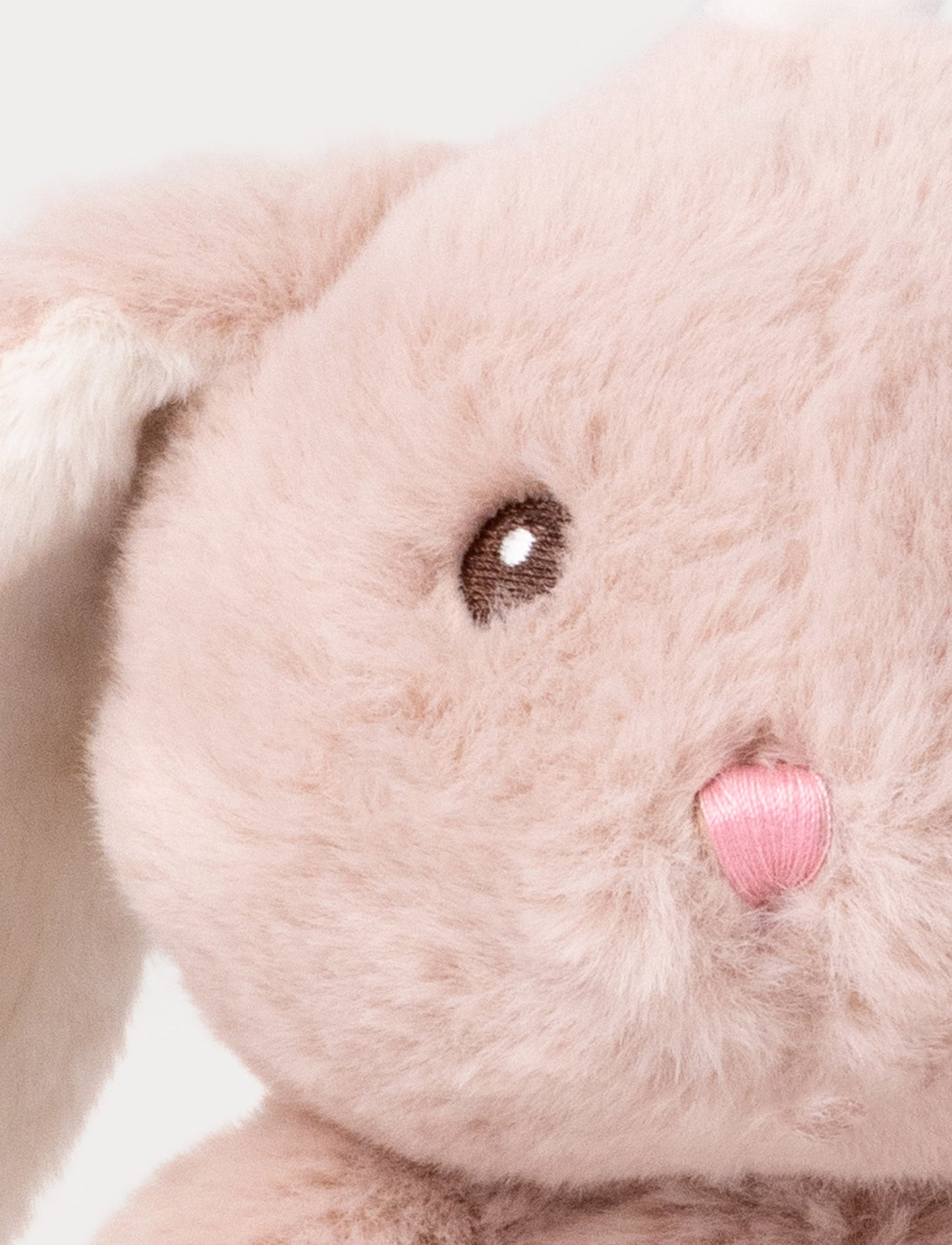 Lollan, Speldosa, Kanin