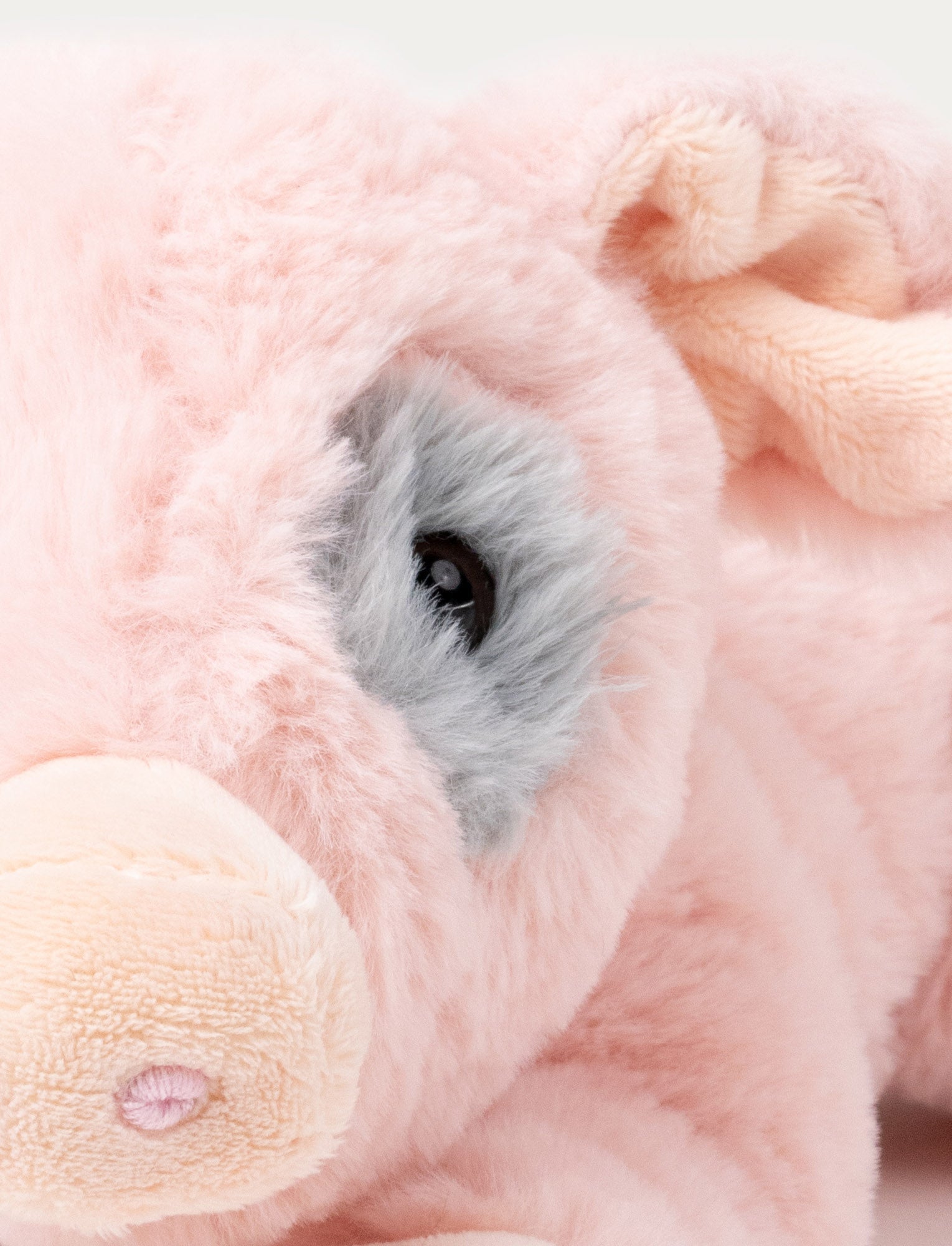  Image of Teddy Farm, Liggande gris