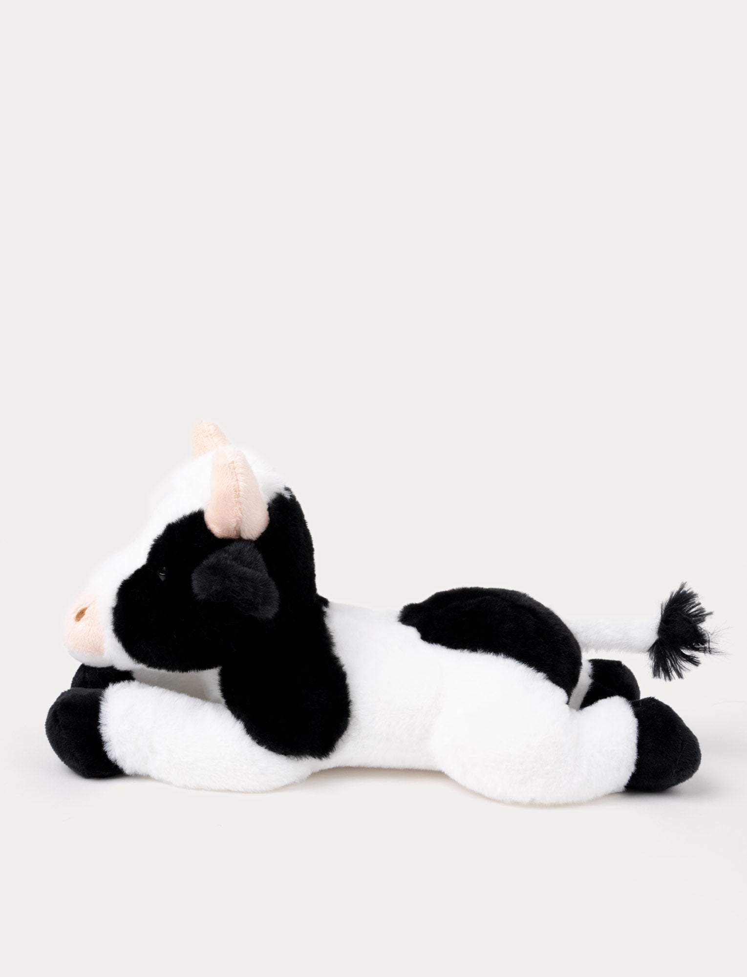  Image of Teddy Farm, Lying Cow