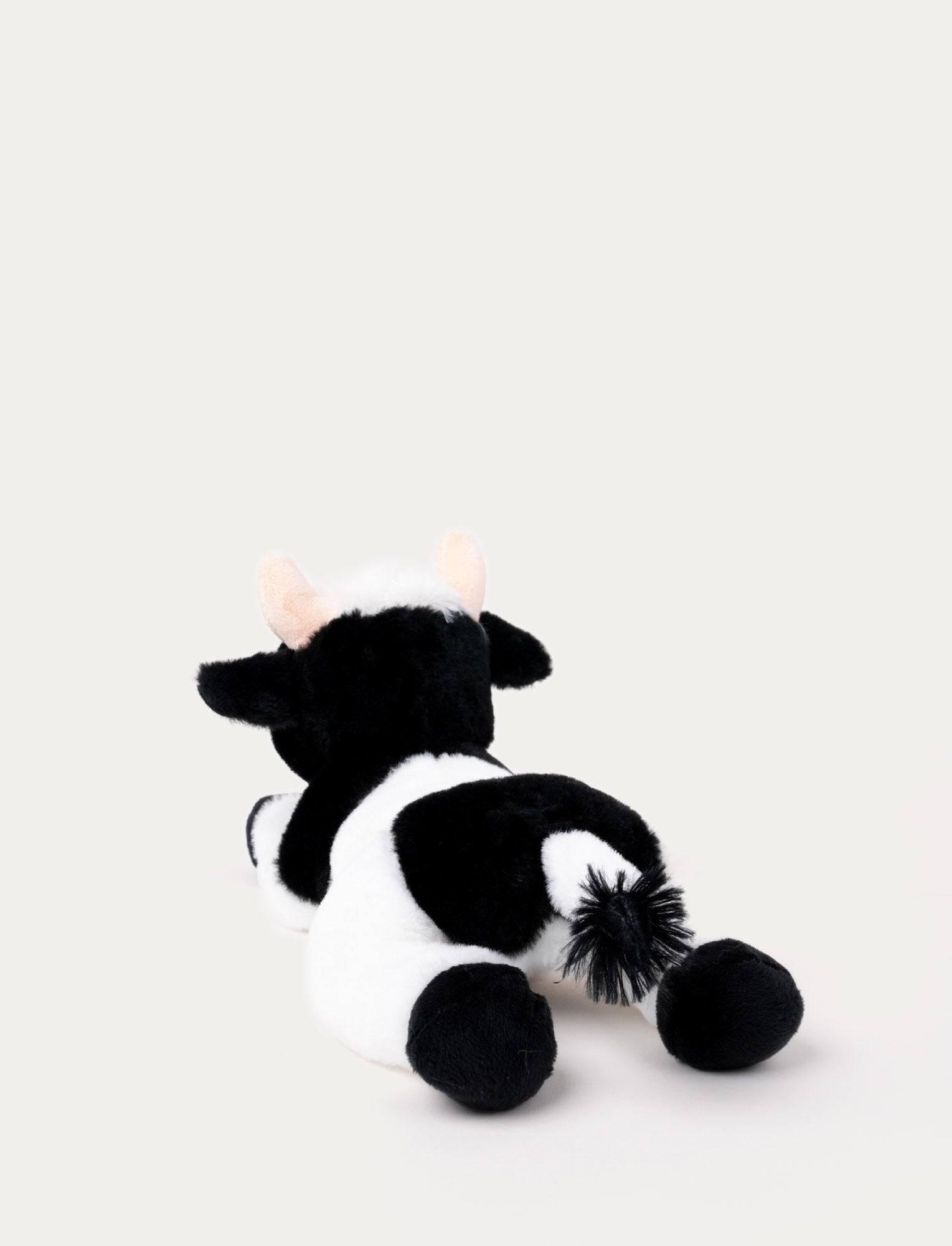  Image of Teddy Farm, Lying Cow