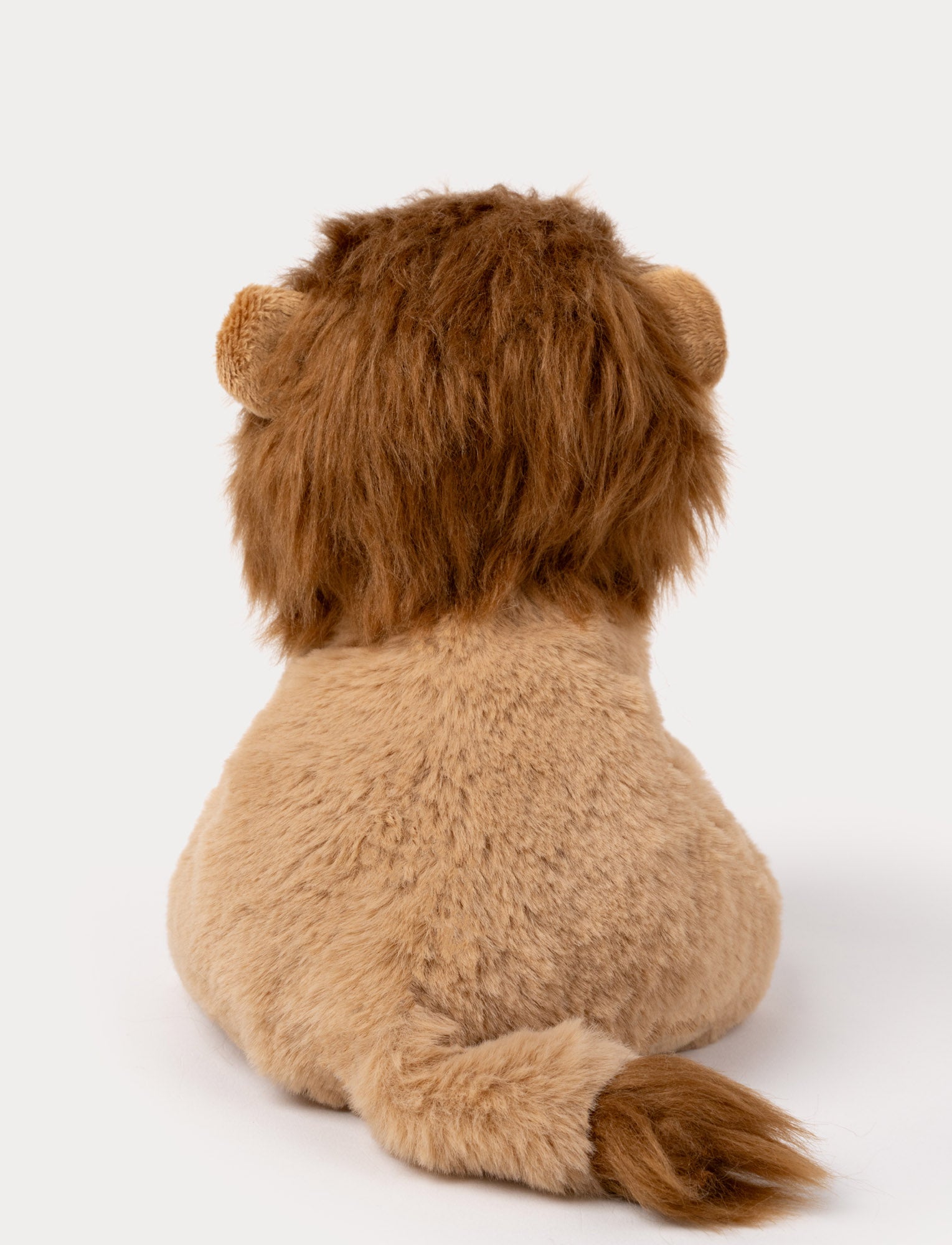  Image of Jungle Kidz, Lion