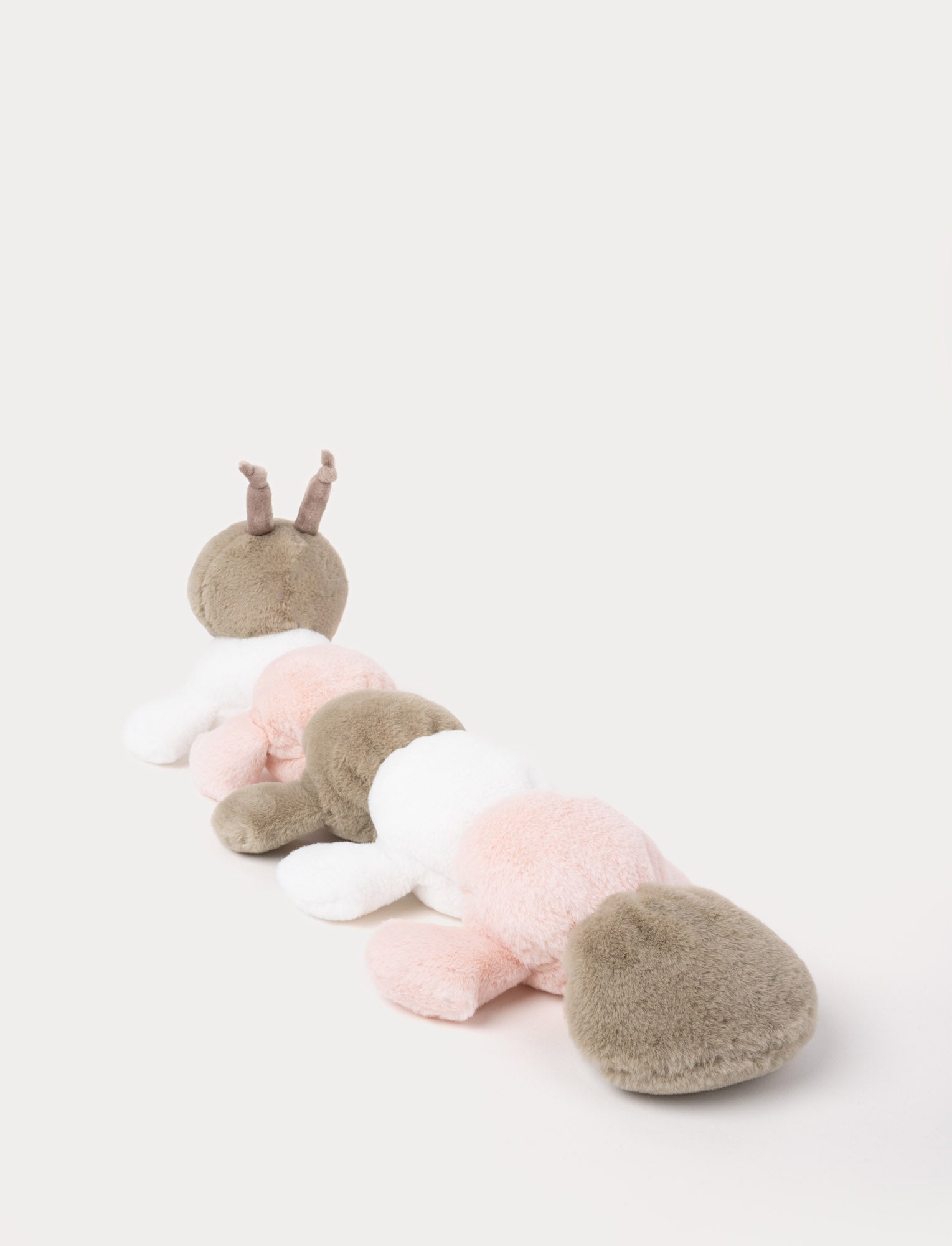  Image of Caterpillar