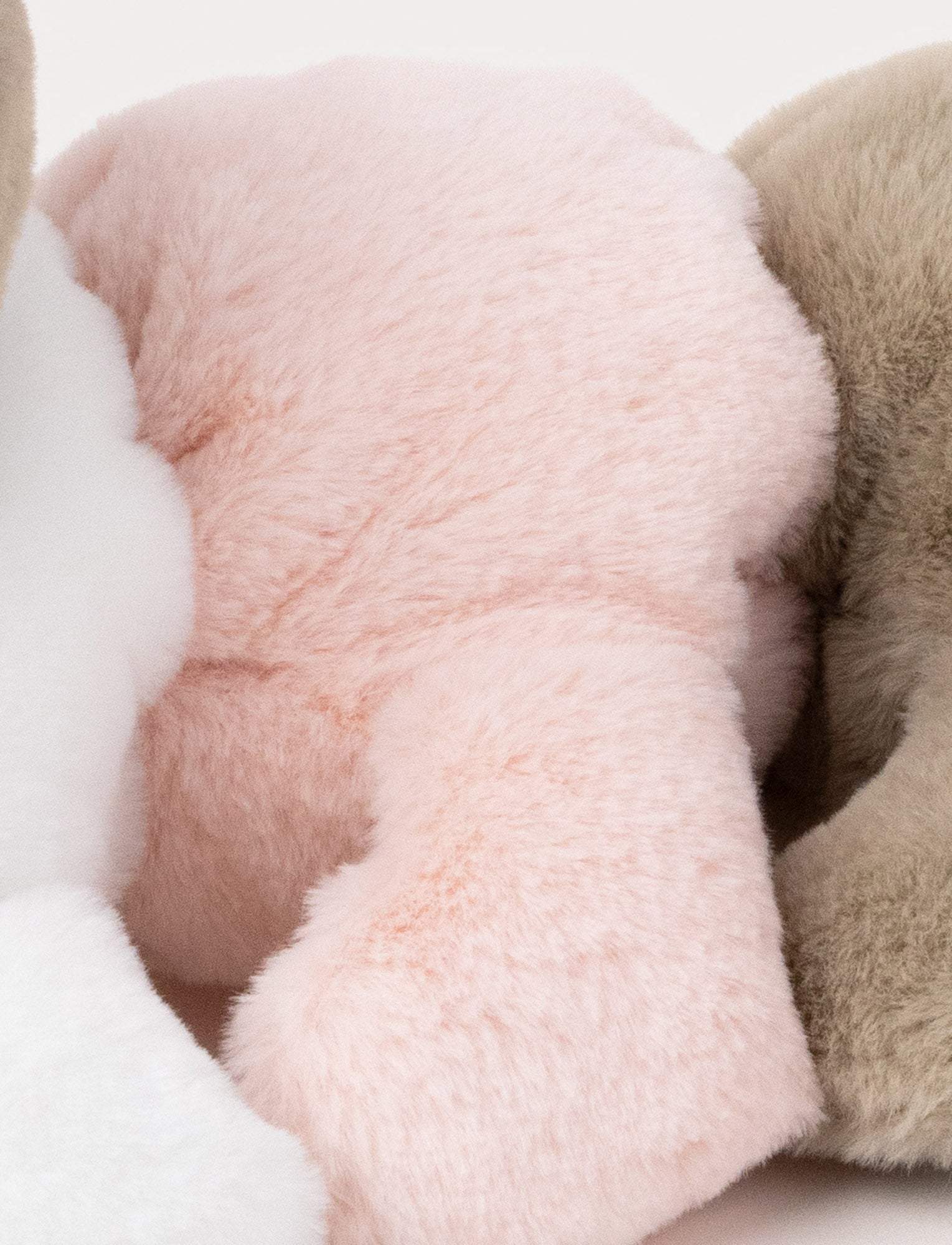  Image of Caterpillar