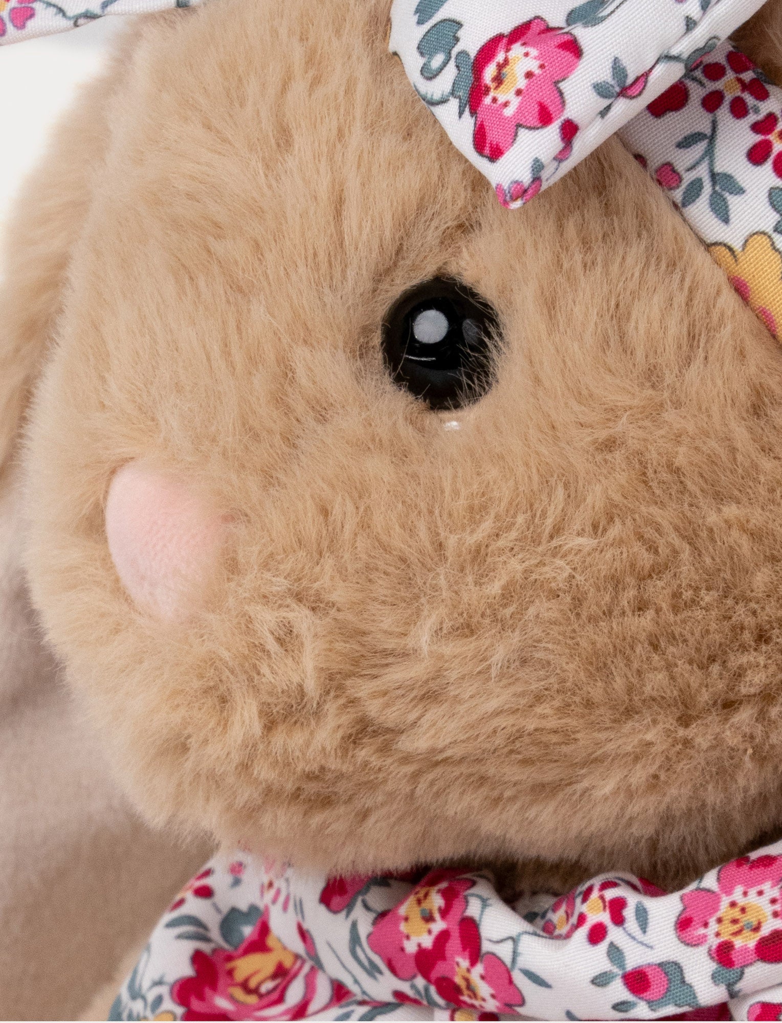  Image of Daisy, Bunny