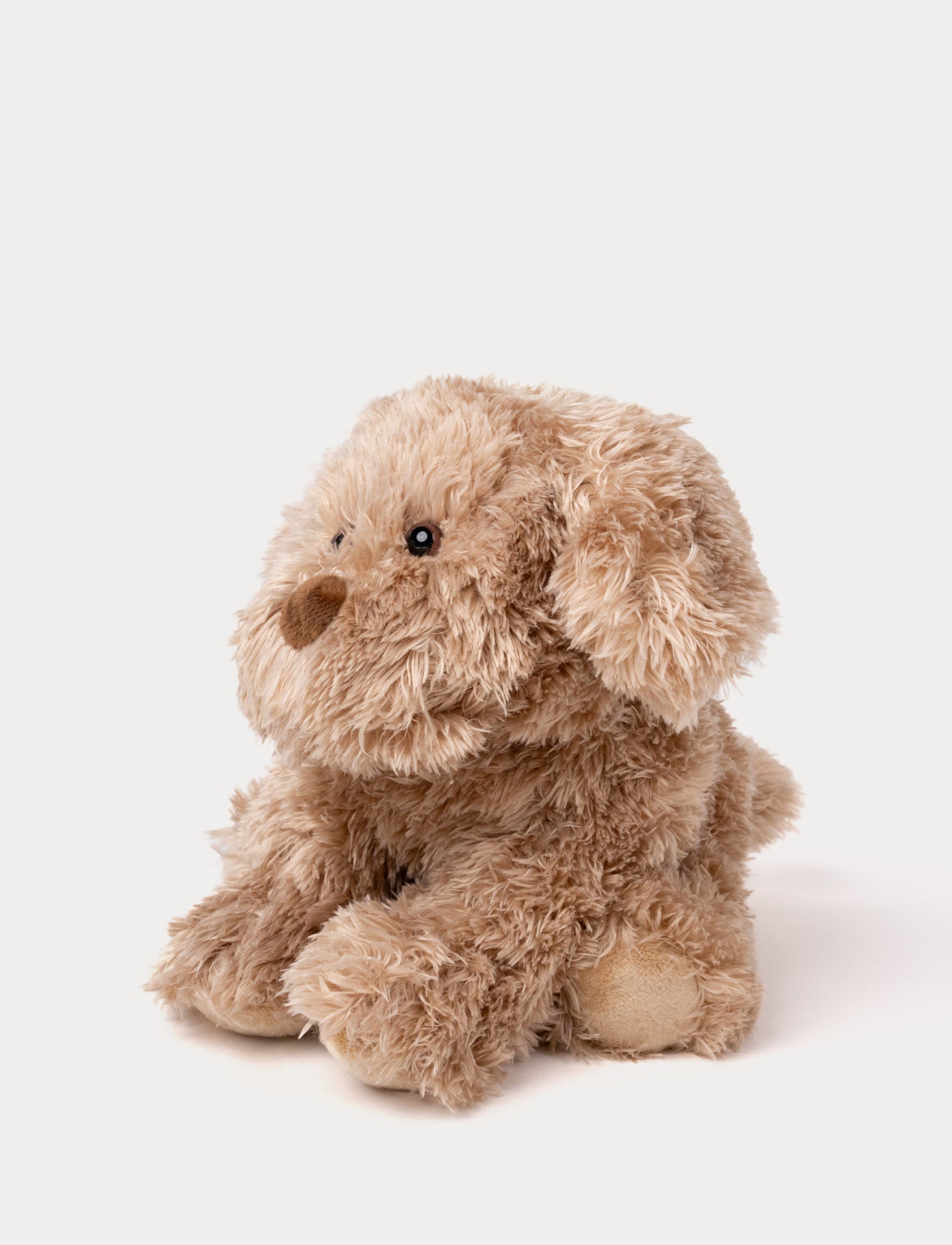  Image of Selma, Dog, Small