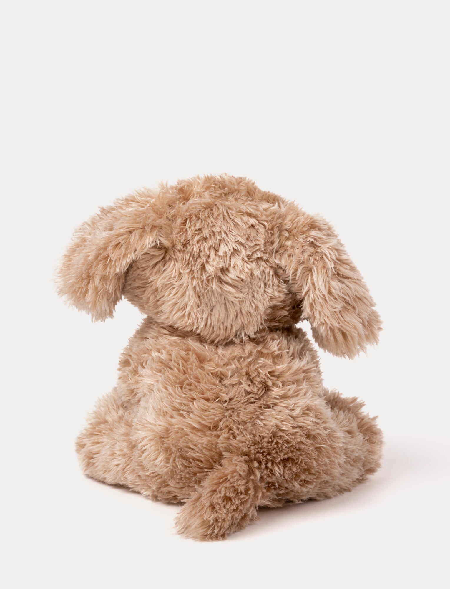  Image of Selma, Hund, Liten