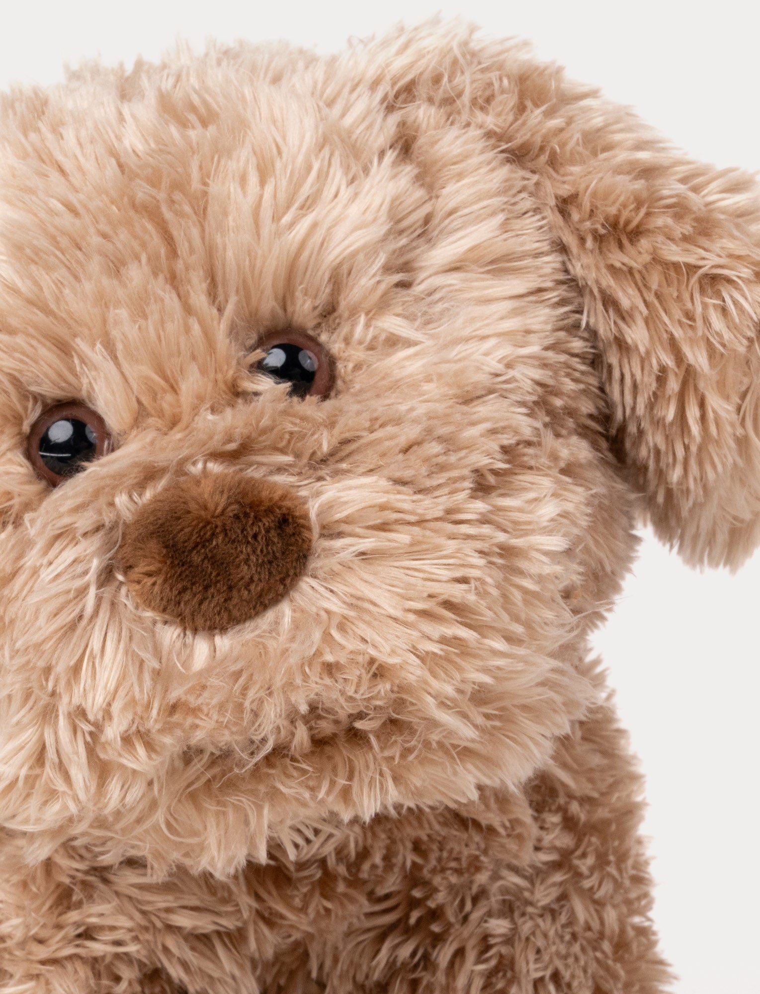  Image of Selma, Hund, Liten