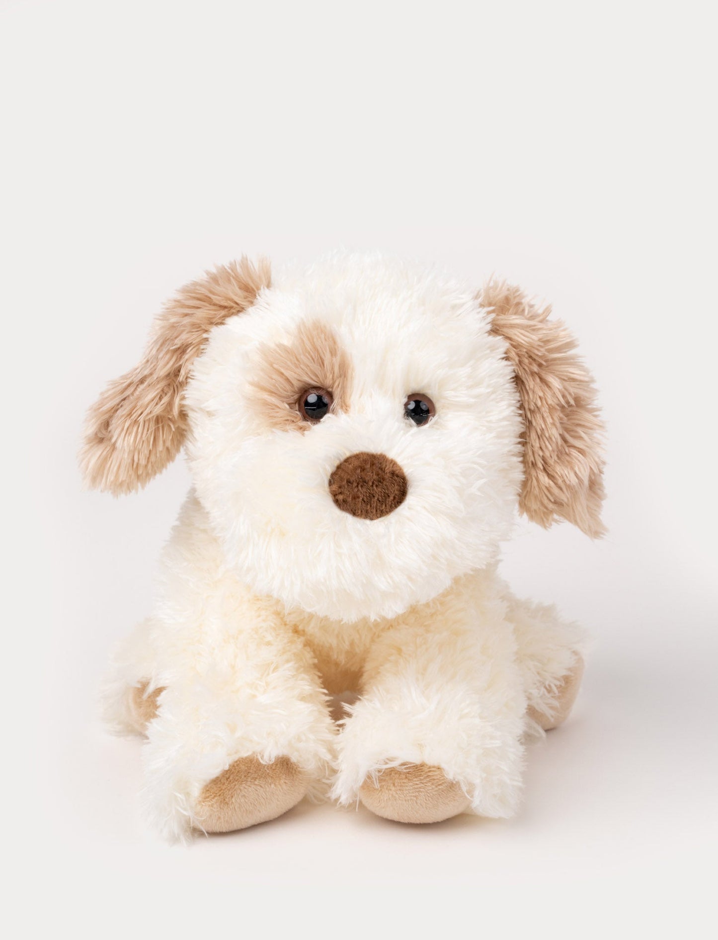 A fluffy puppy with white fur, and brown details. Kind eyes, perfect for cuddling and carrying.