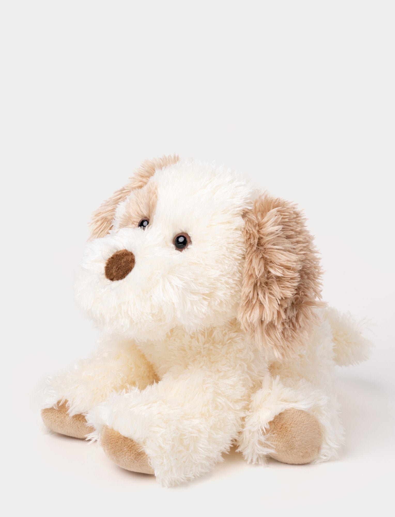  Image of Selma, Dog, Small