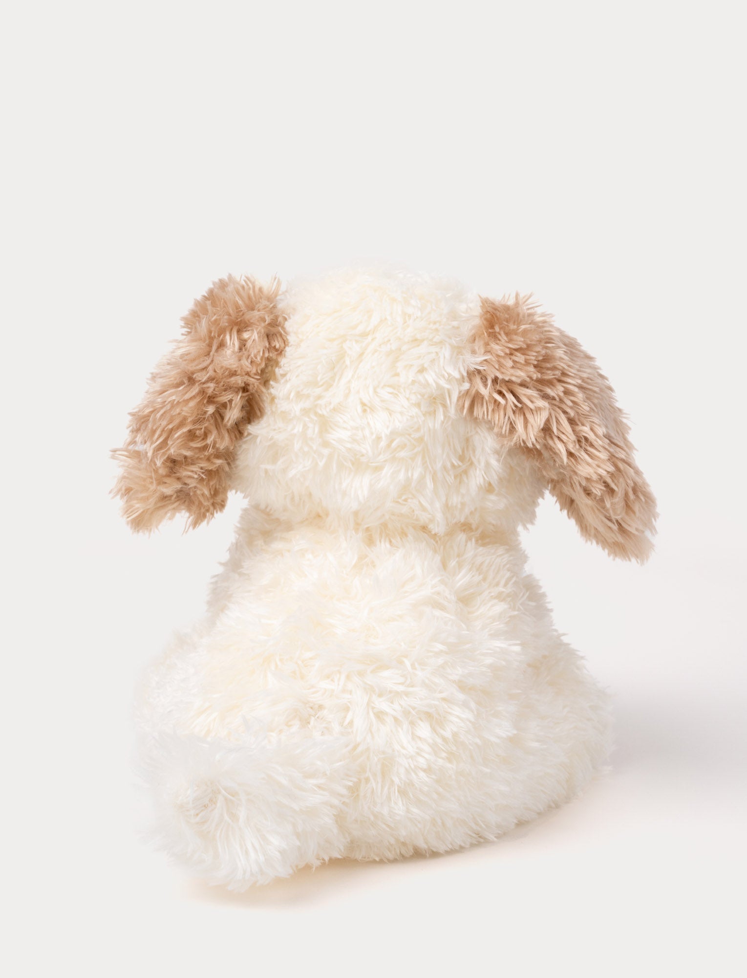  Image of Selma, Dog, Small