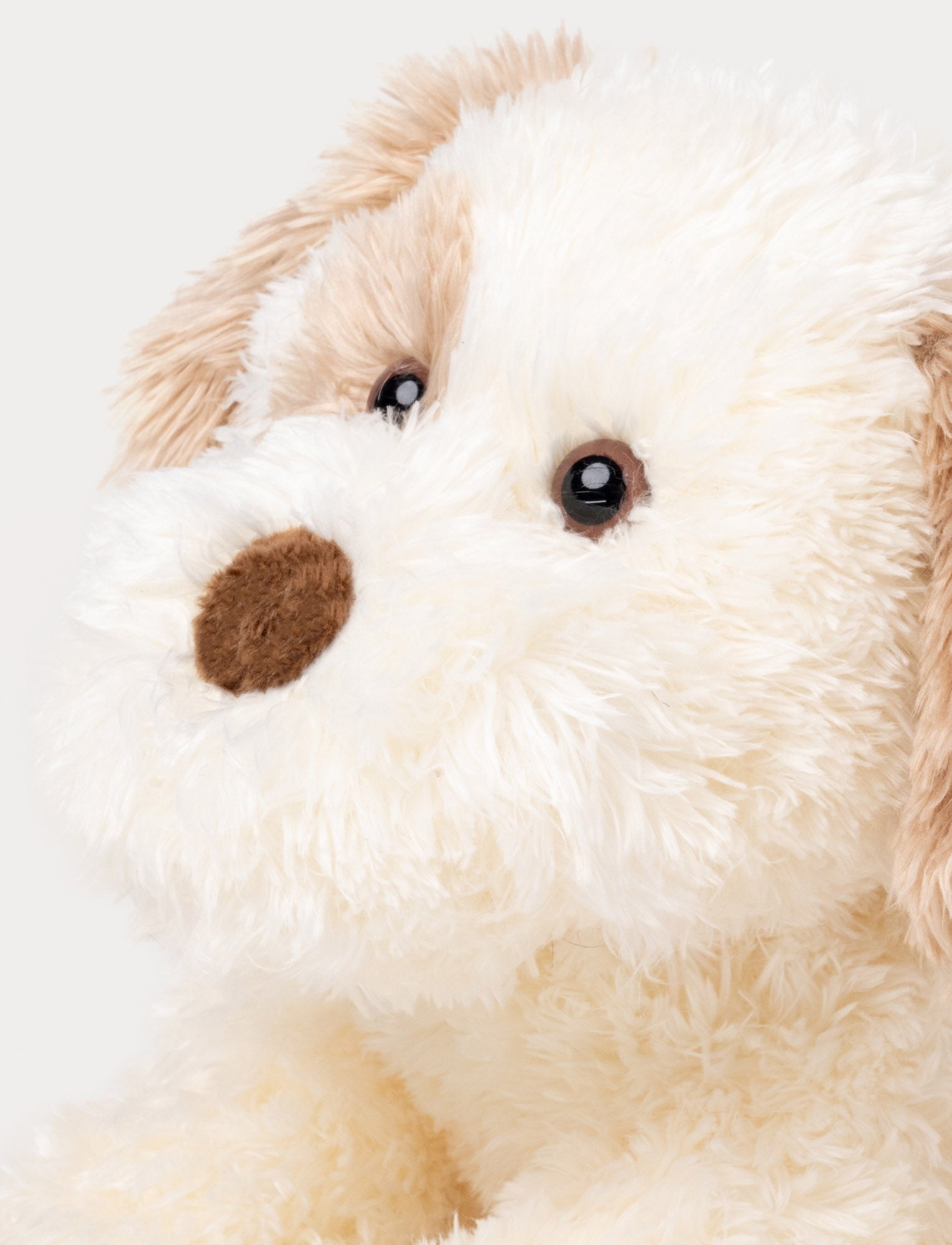  Image of Selma, Dog, Small