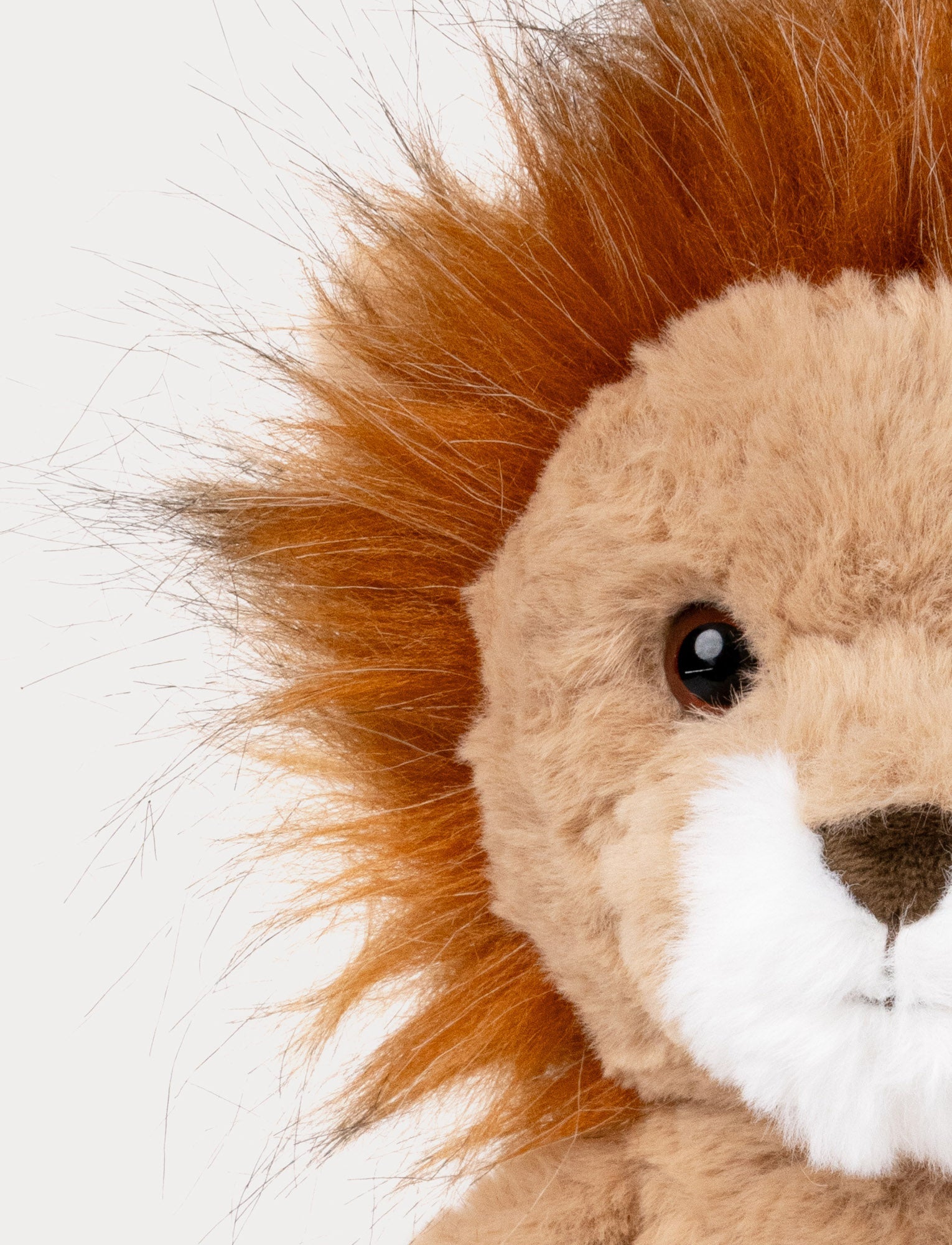  Image of Tuffisar, The Lion Leon