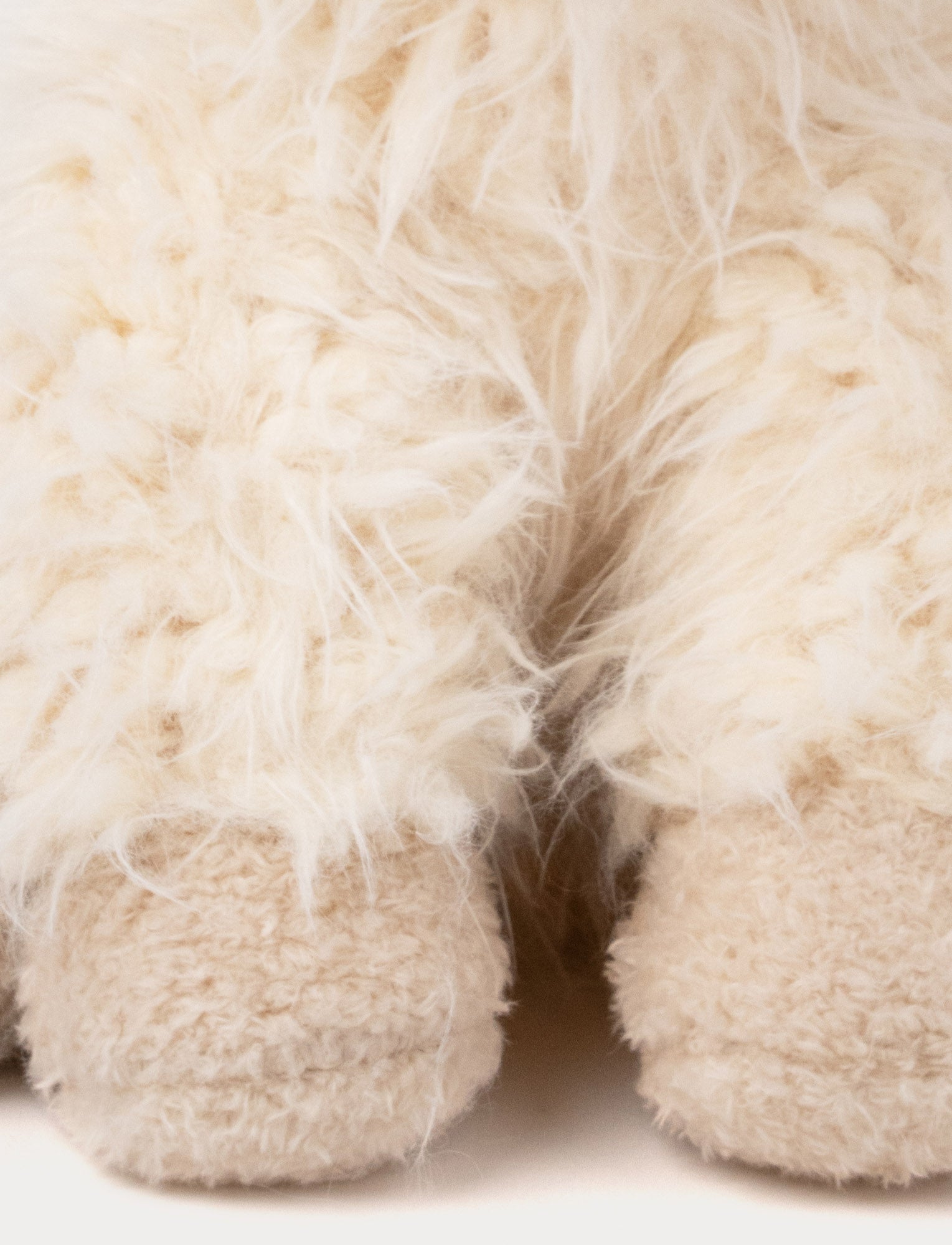  Image of Liam, Llama