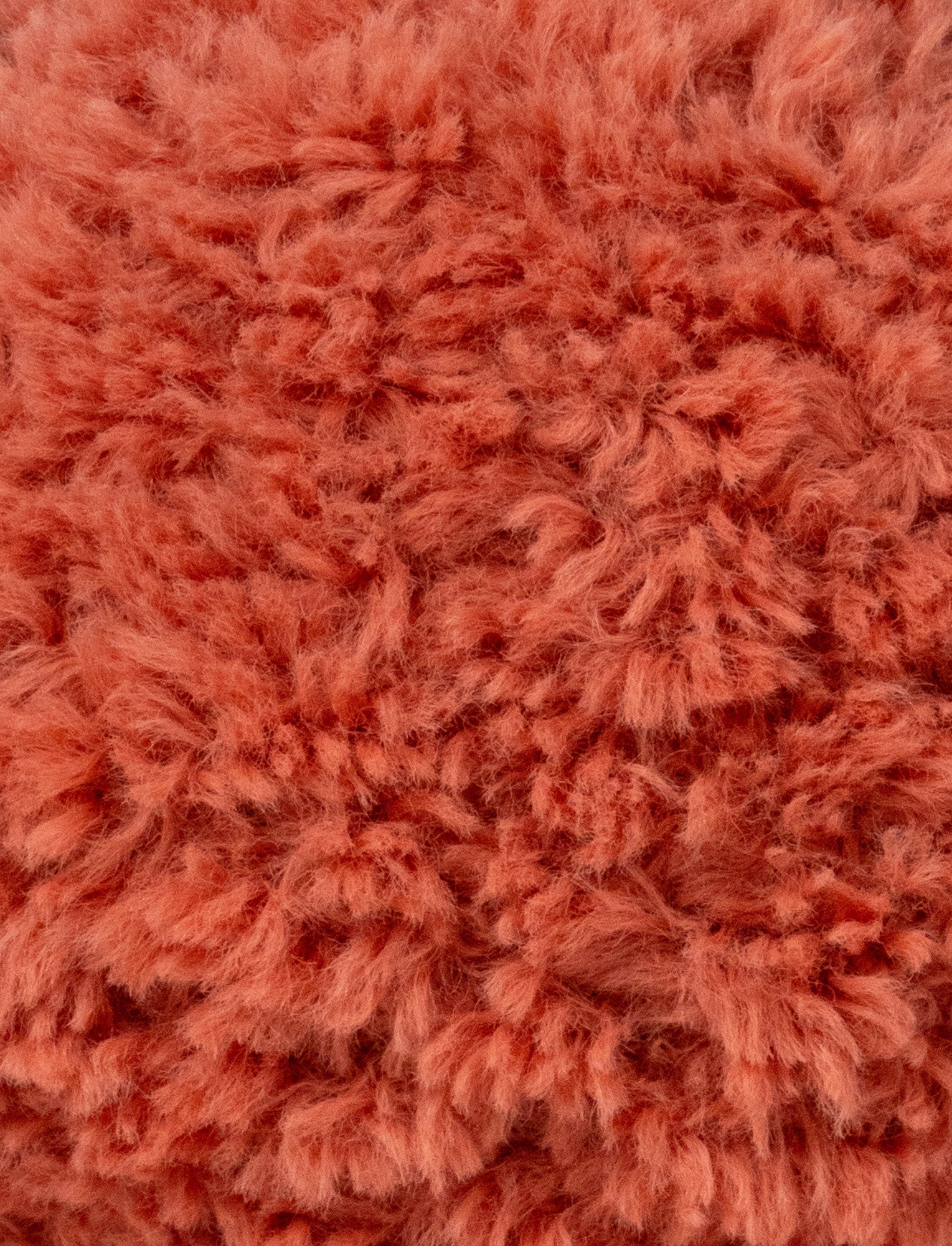  Image of Retro Pals, Fox