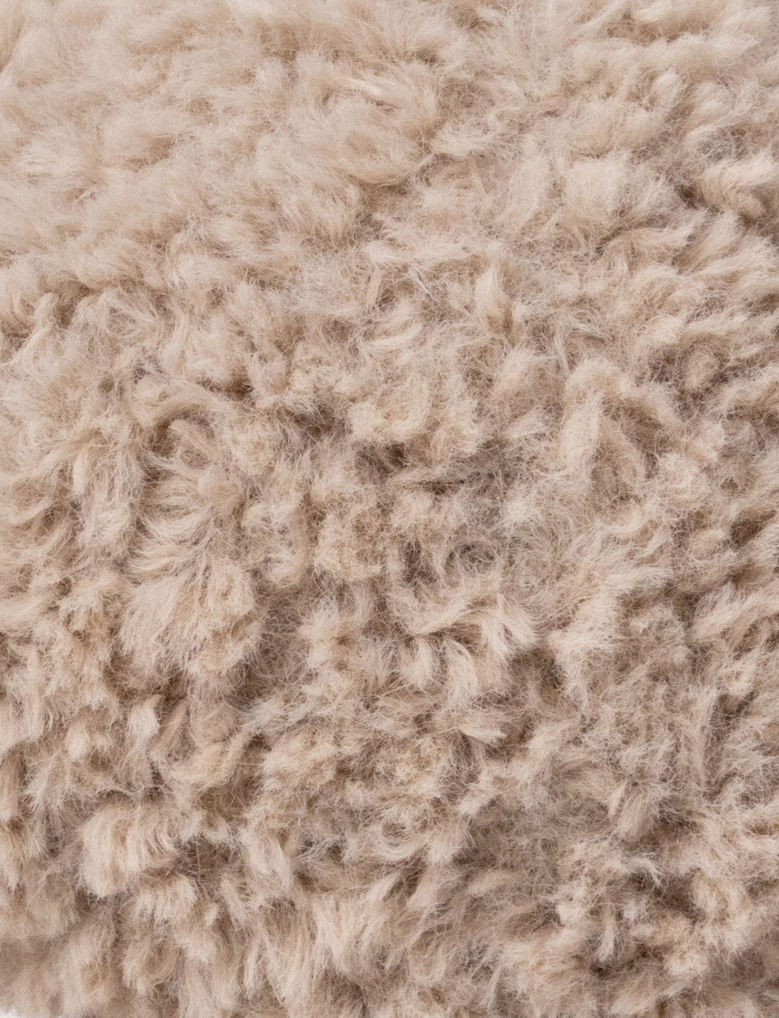  Image of Retro Pals, Elephant