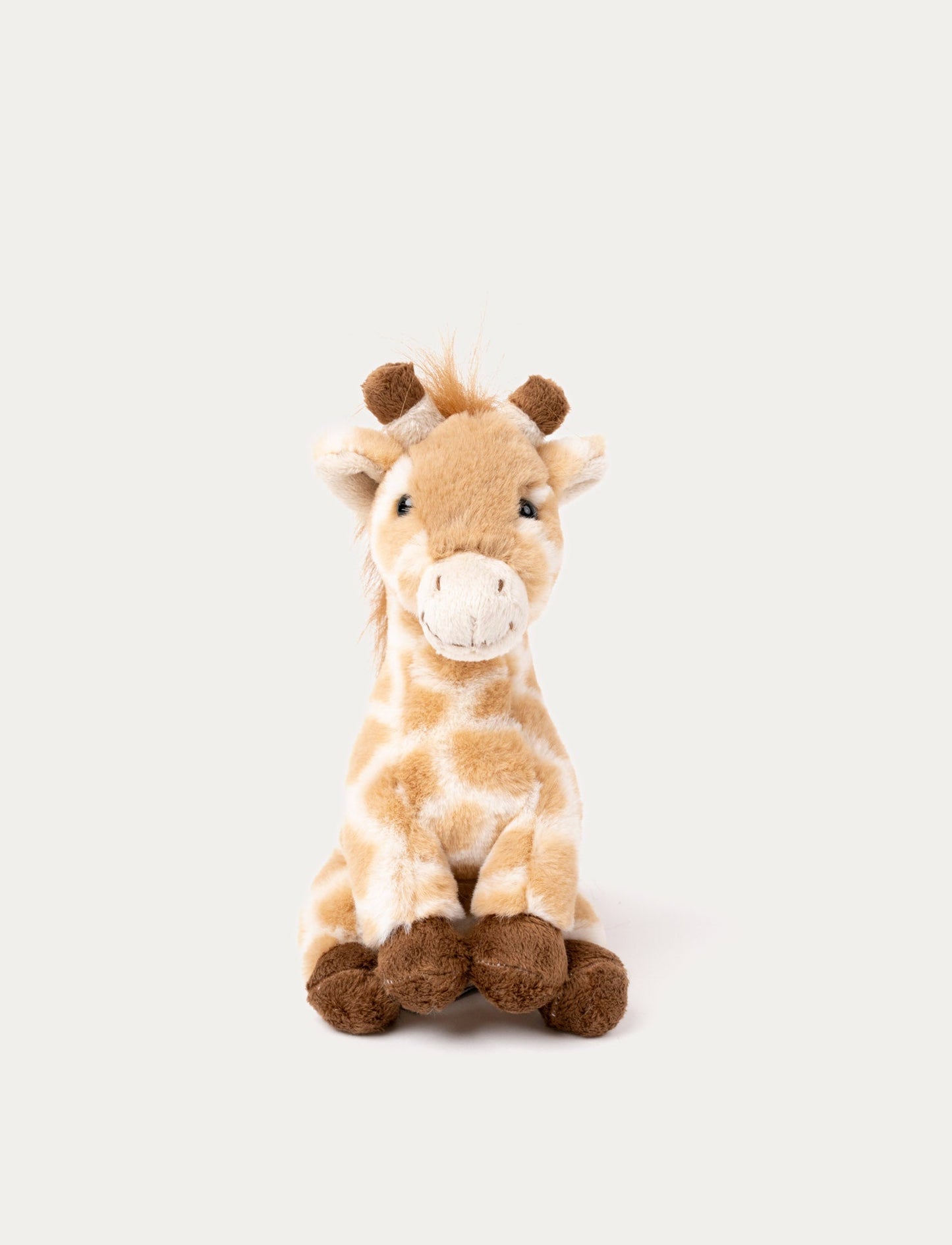 A giraffe with soft plush fur, beige spots, a long-haired mane