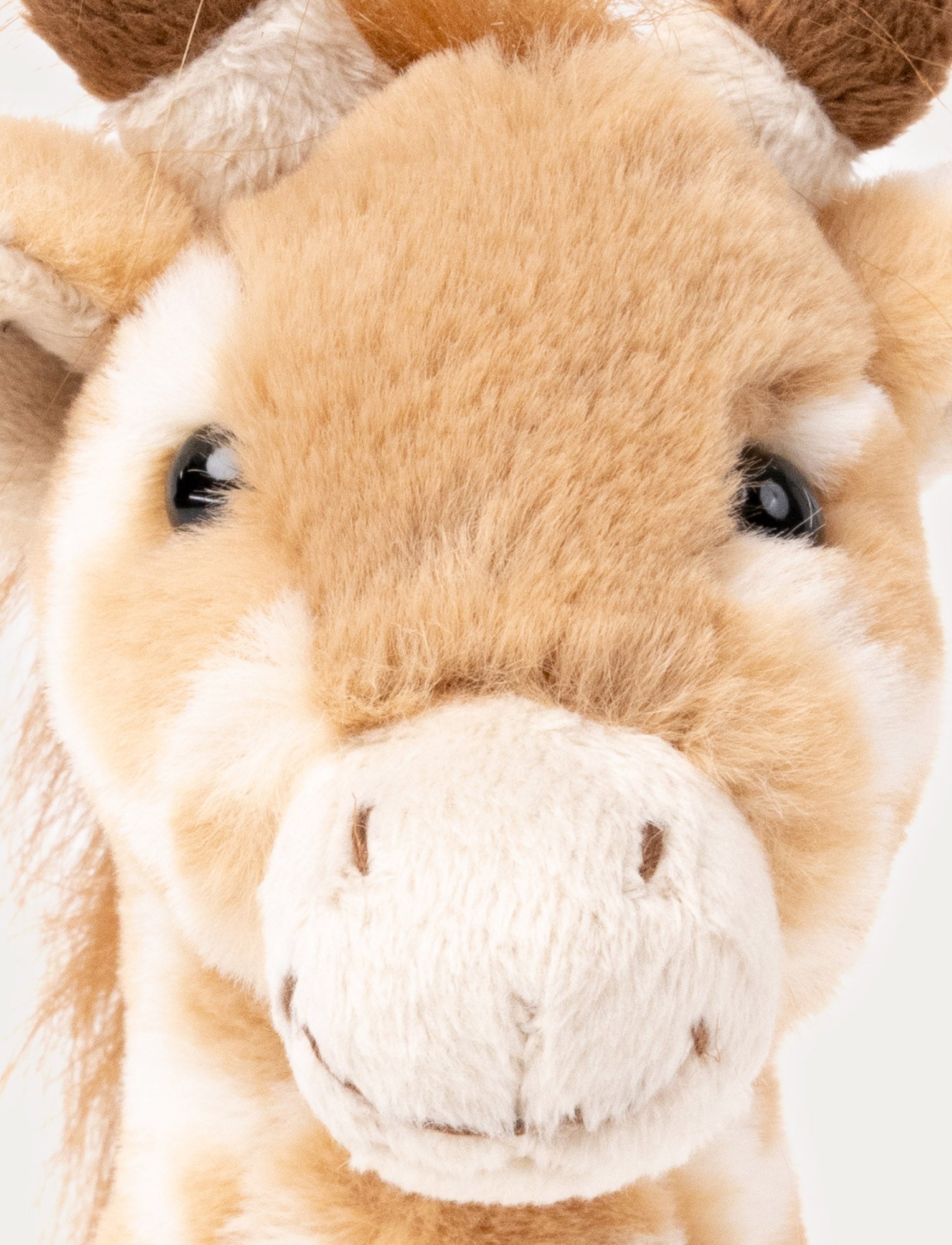  Image of Giraffe Gina, Small