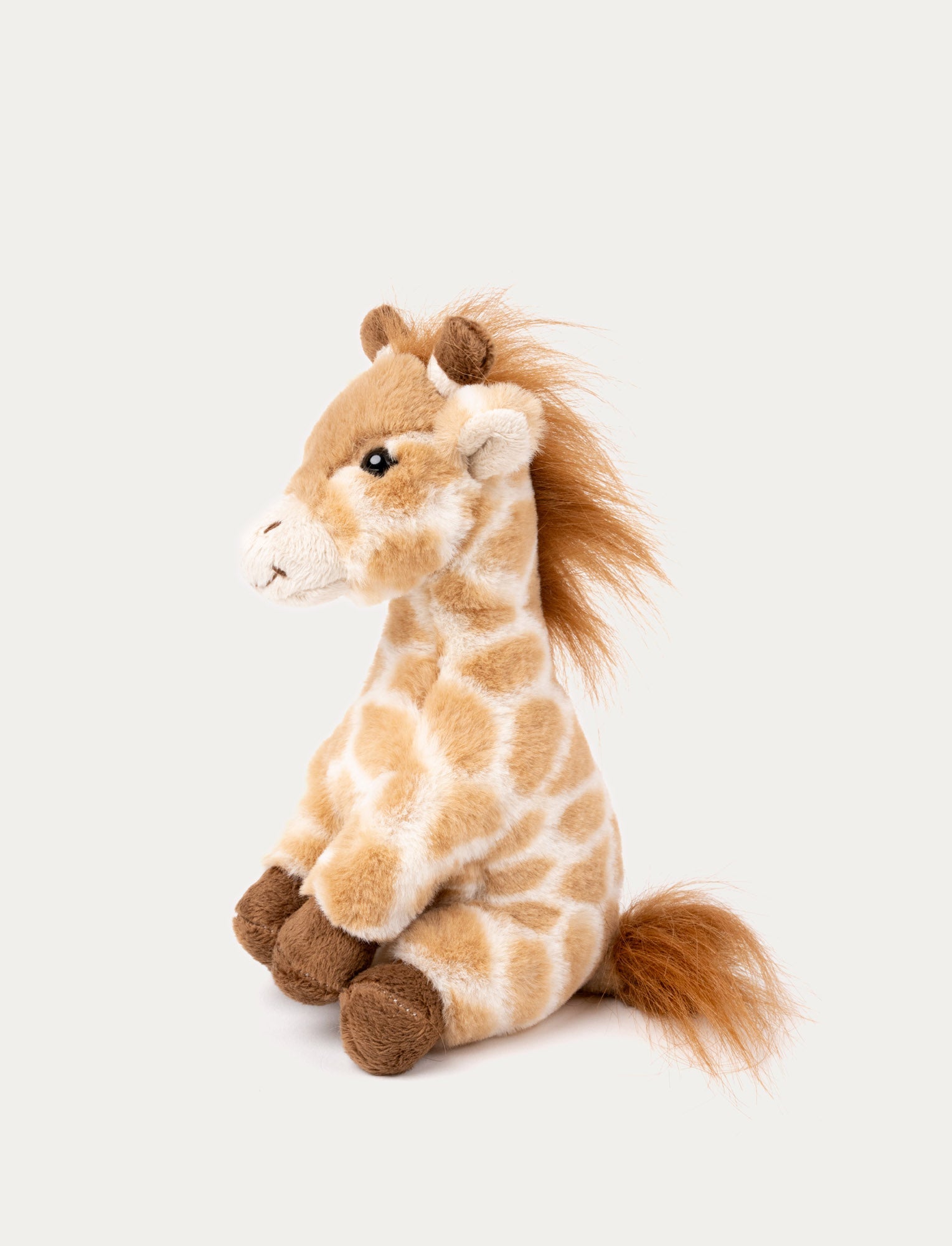  Image of Giraffe Gina, Big