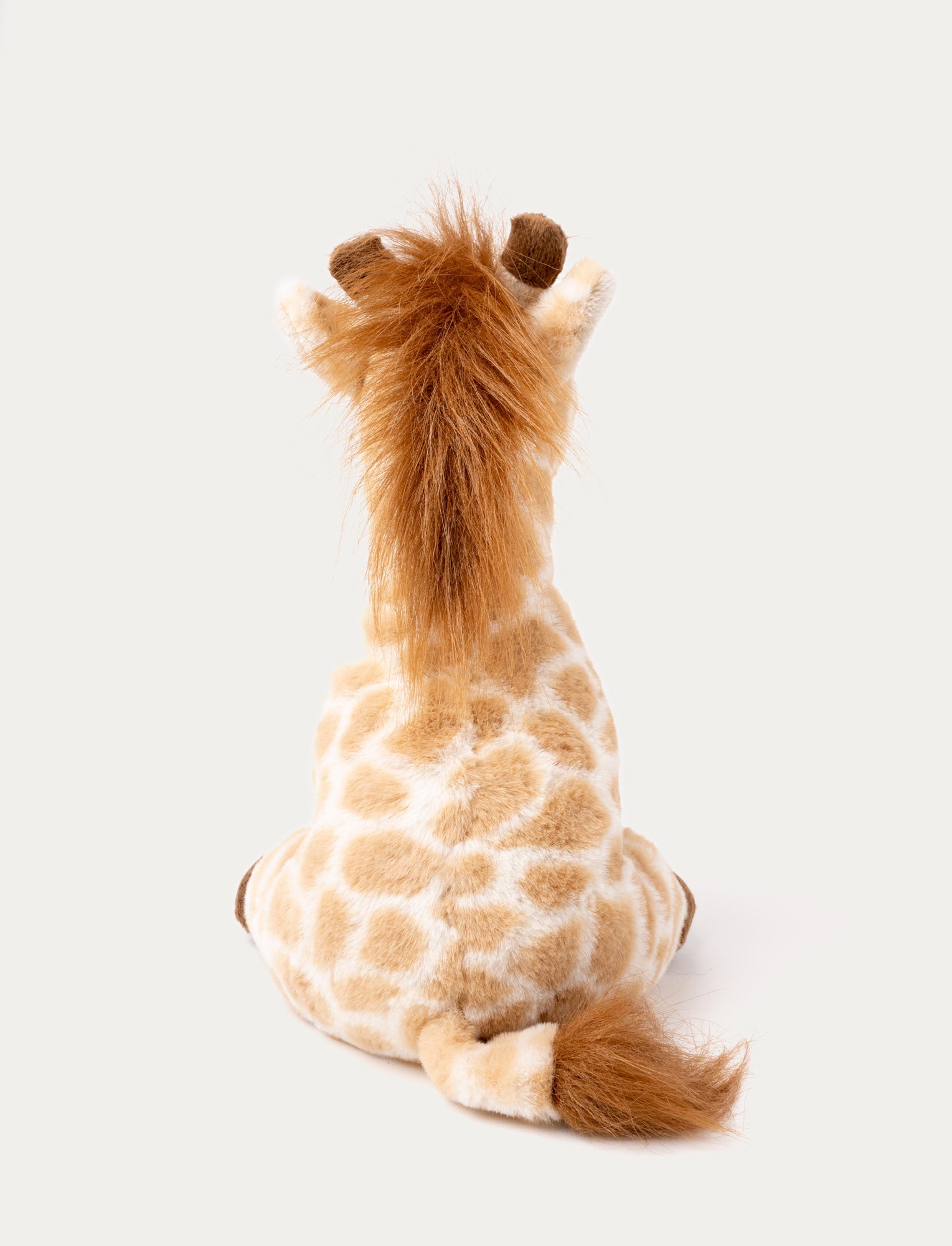  Image of Giraffe Gina, Big