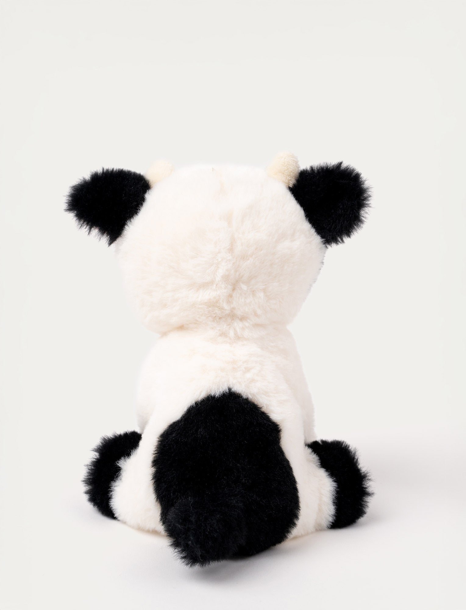  Image of Teddy Farm, Sitting Cow