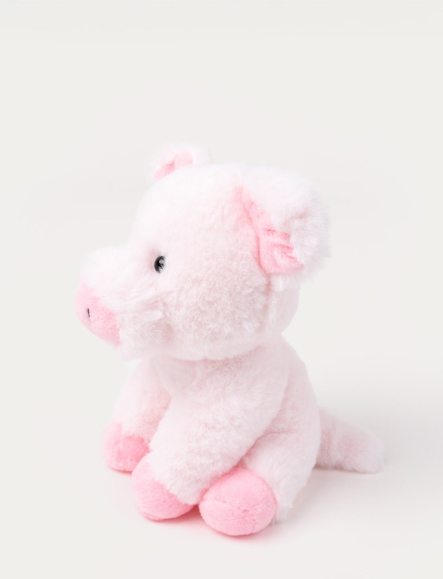 Teddy Farm, Sitting Pig