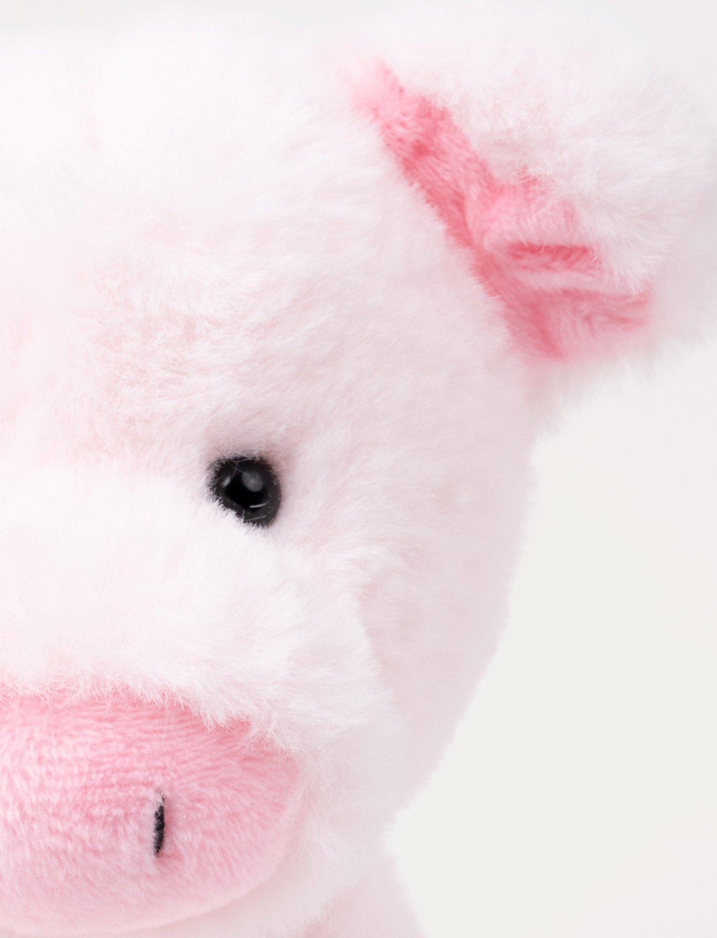 Teddy Farm, Sitting Pig