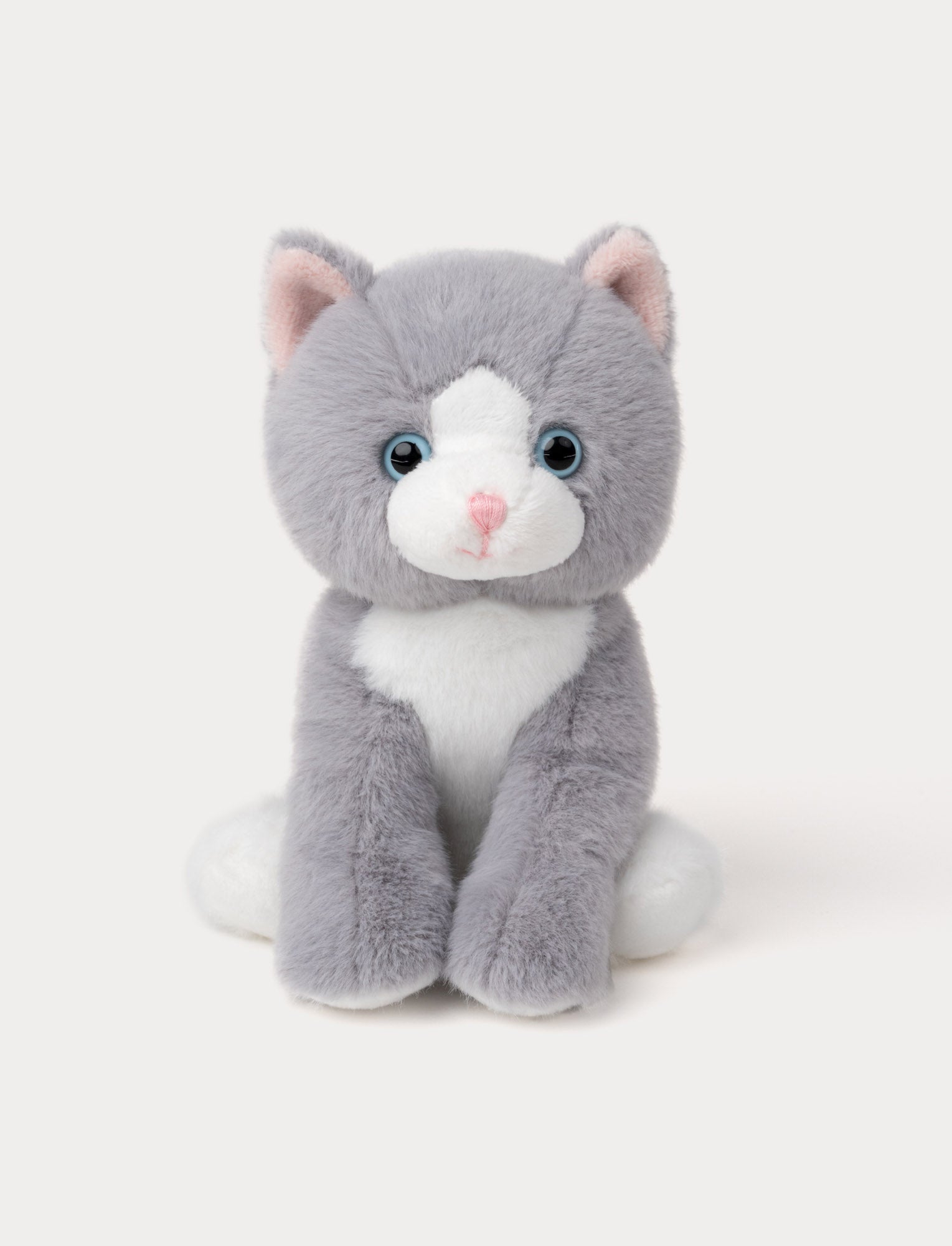  Image of A gray and white kitten with blue eyes and silky fur.