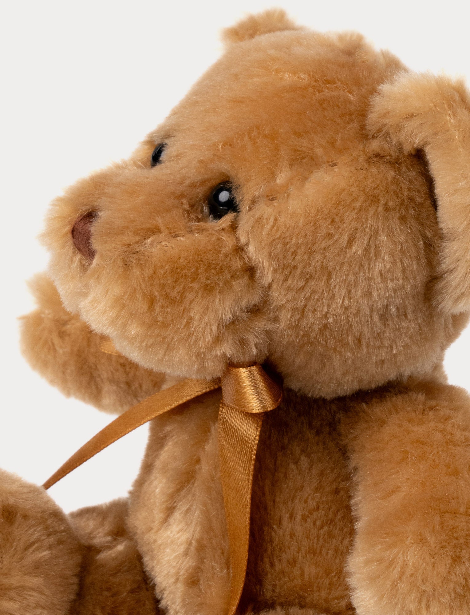  Image of Theo, Teddy Bear