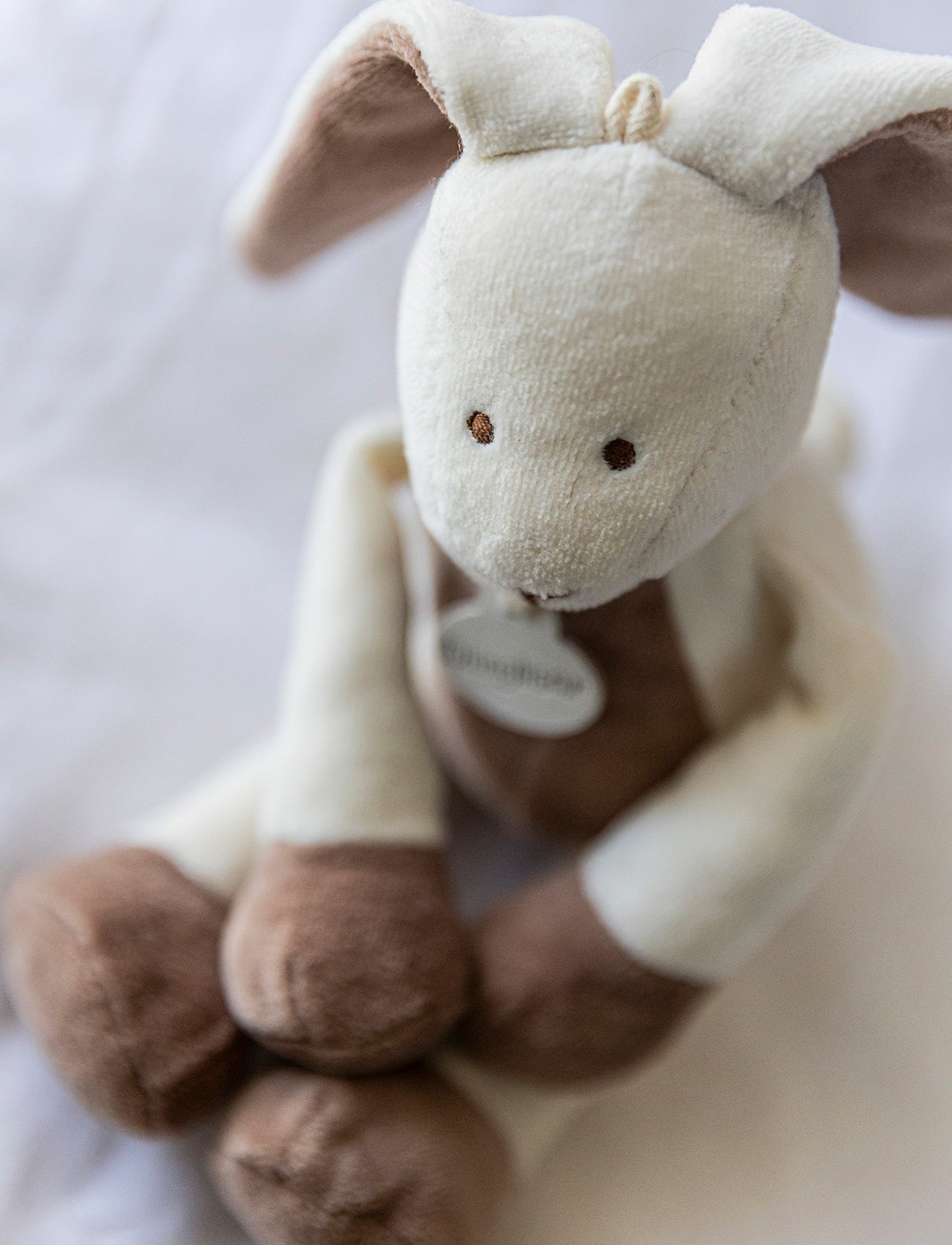 Diinglisar Organic, Bunny