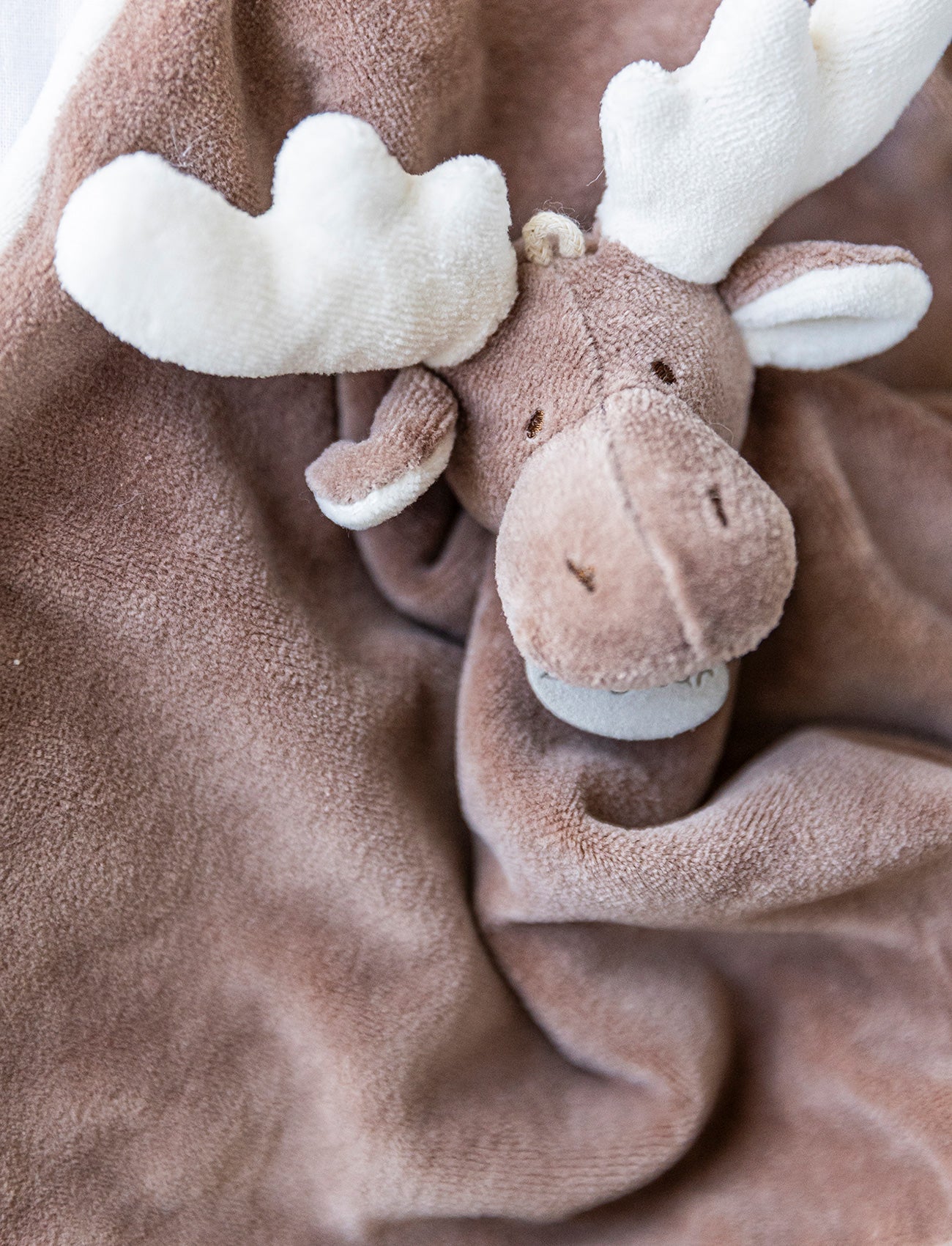  Image of Diinglisar Organic, Snuttefilt, Älg