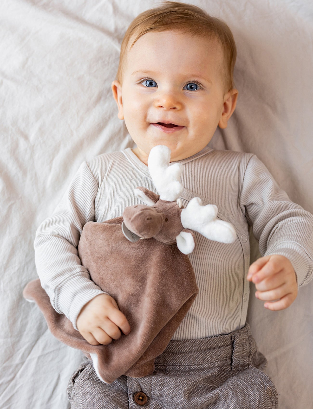  Image of Diinglisar Organic, Snuttefilt, Älg