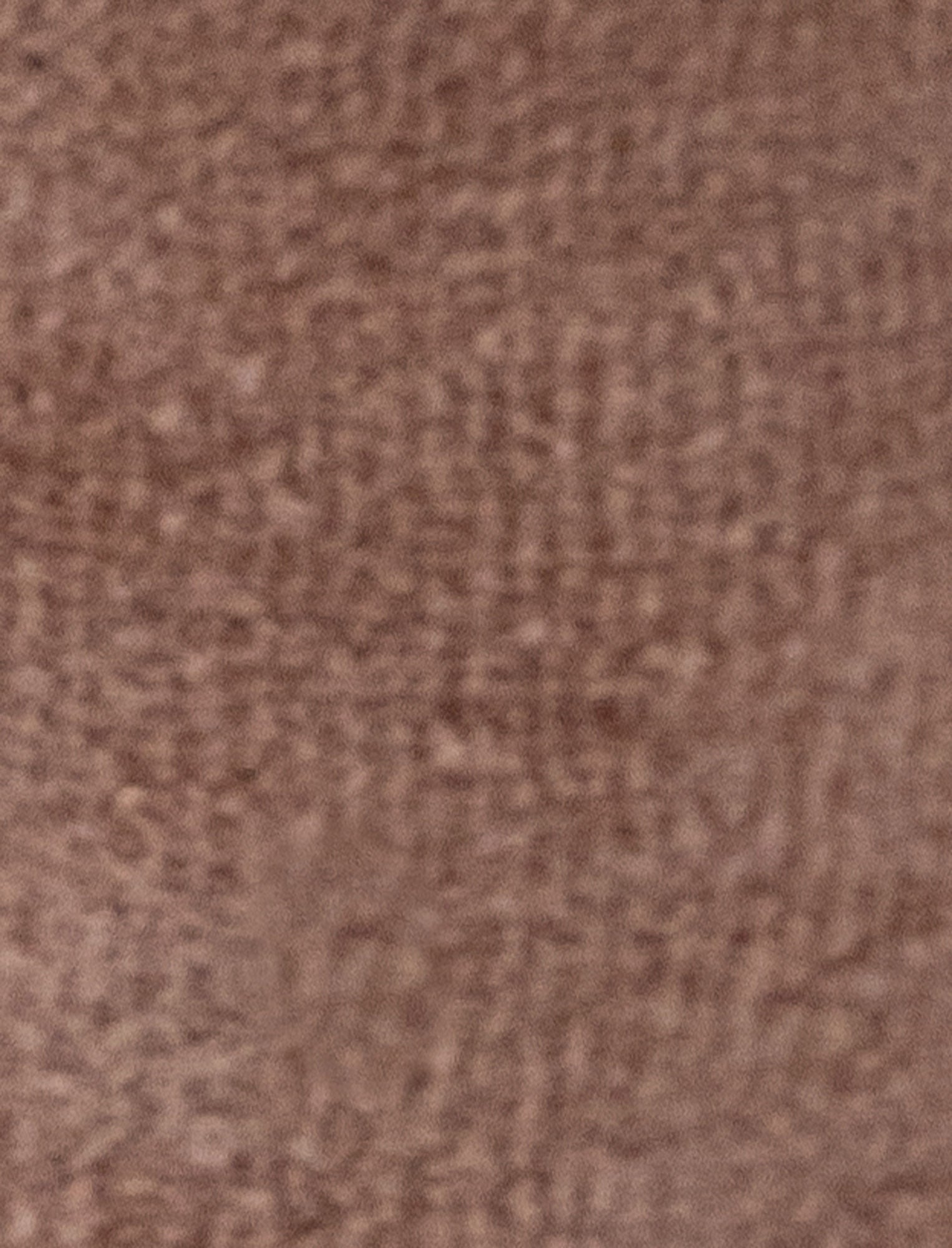  Image of A plush moose rattle with a soft brown body, white antlers, and a stitched face