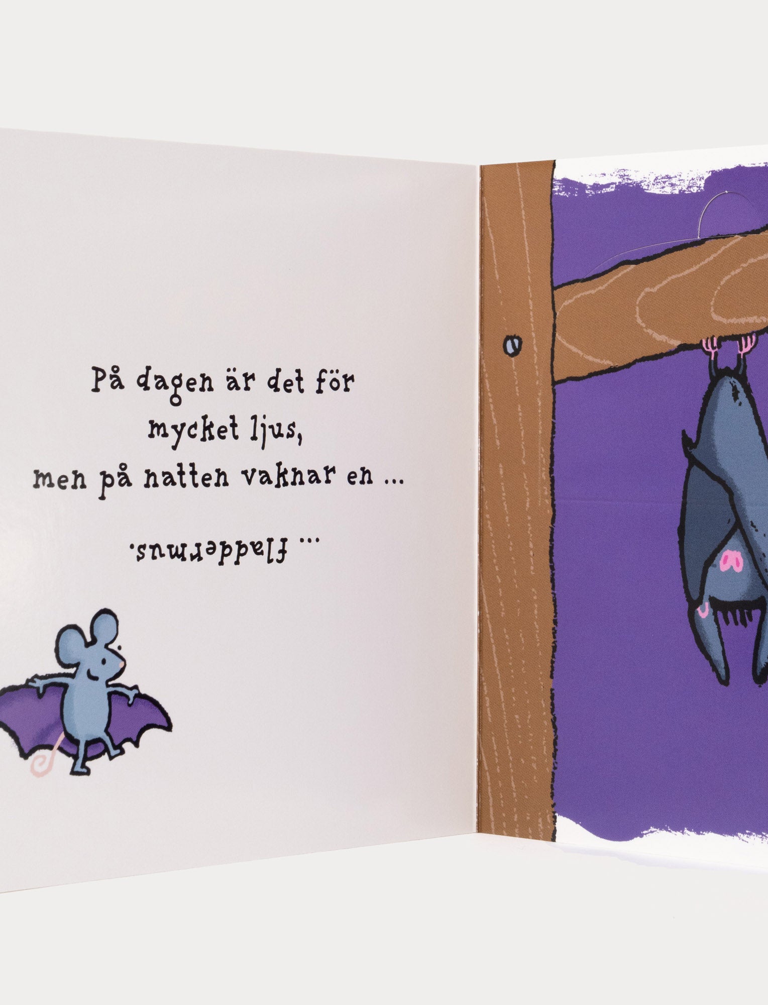  Image of Tittut! Vem gömmer sig där?