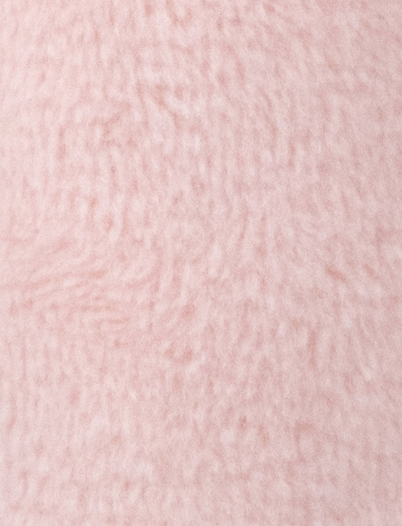  Image of Diinglisar, Rattle, Bunny