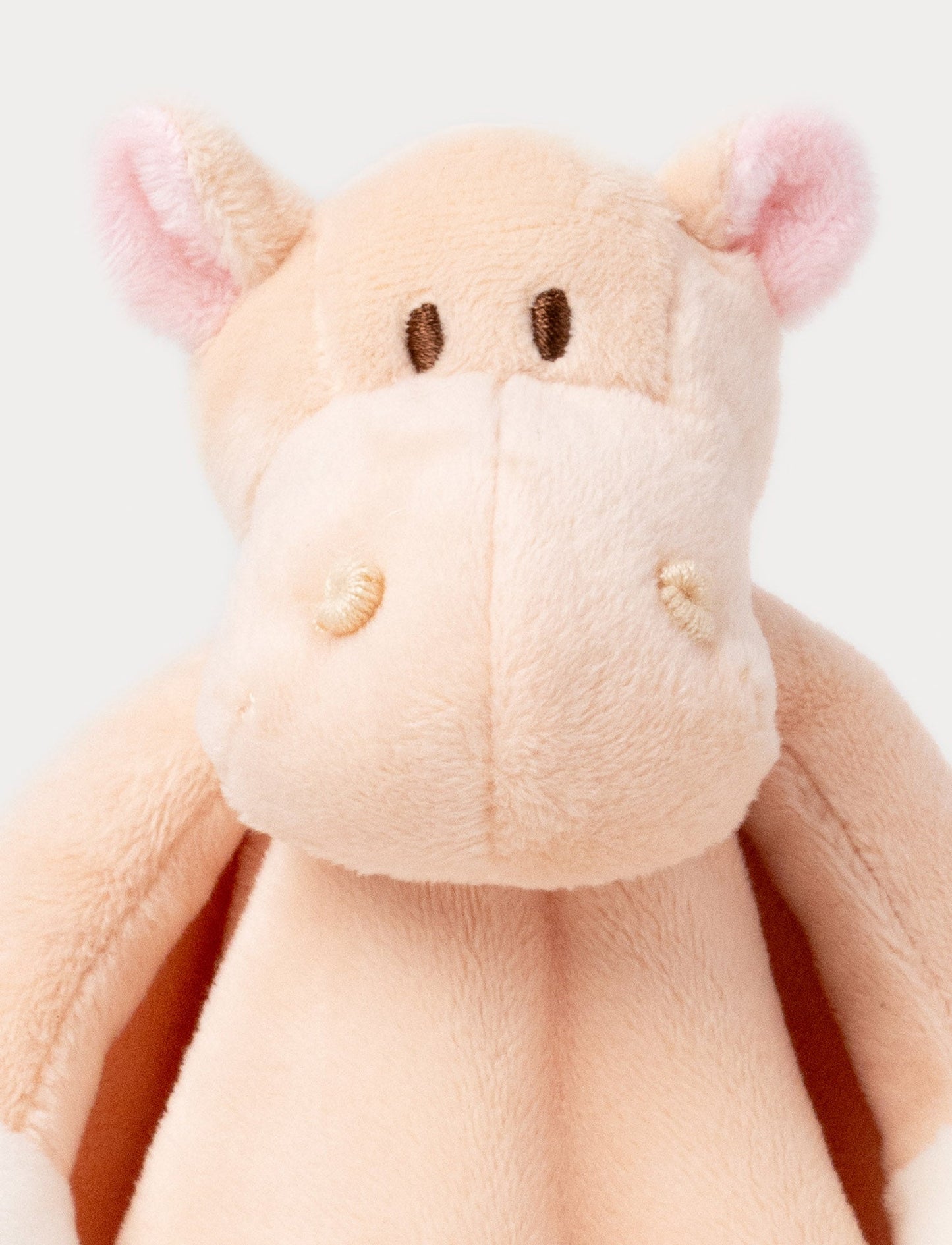 Diinglisar, Baby Blanket, Hippo