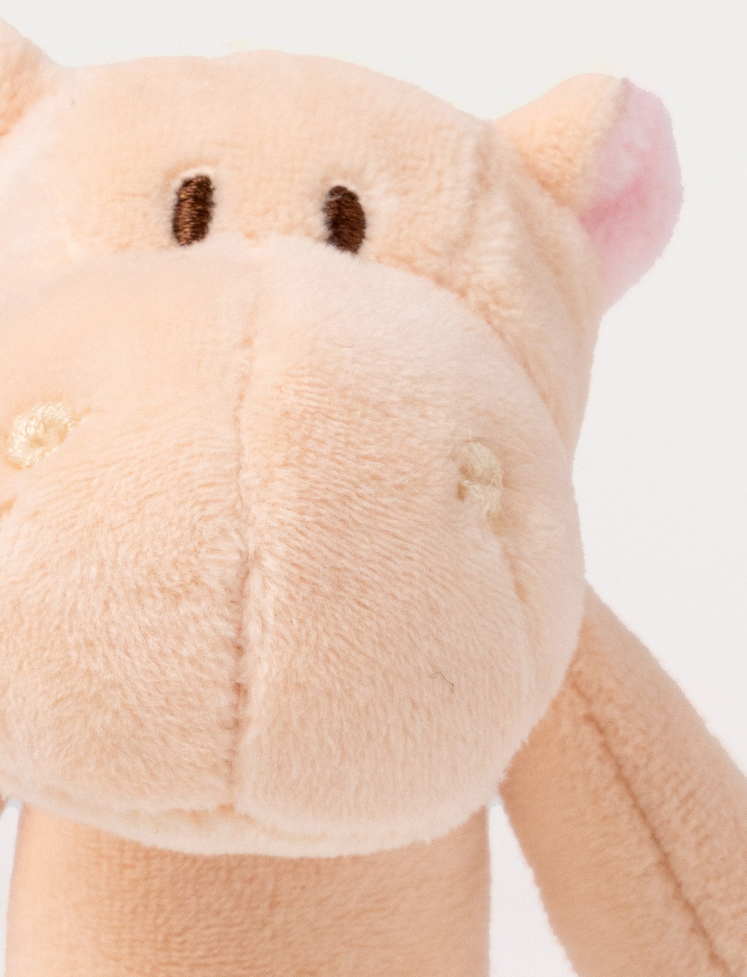  Image of Diinglisar, Rattle, Hippo