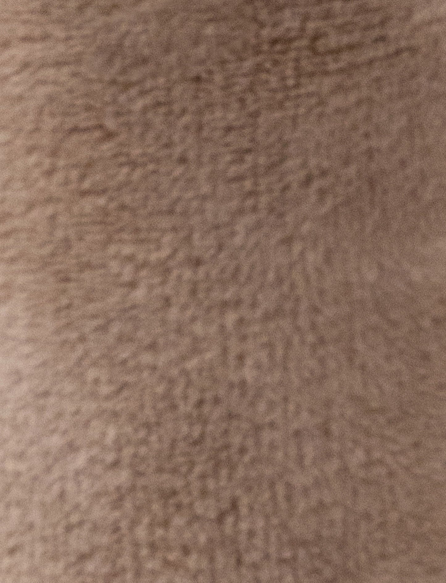 Diinglisar, Rattle, Hippo