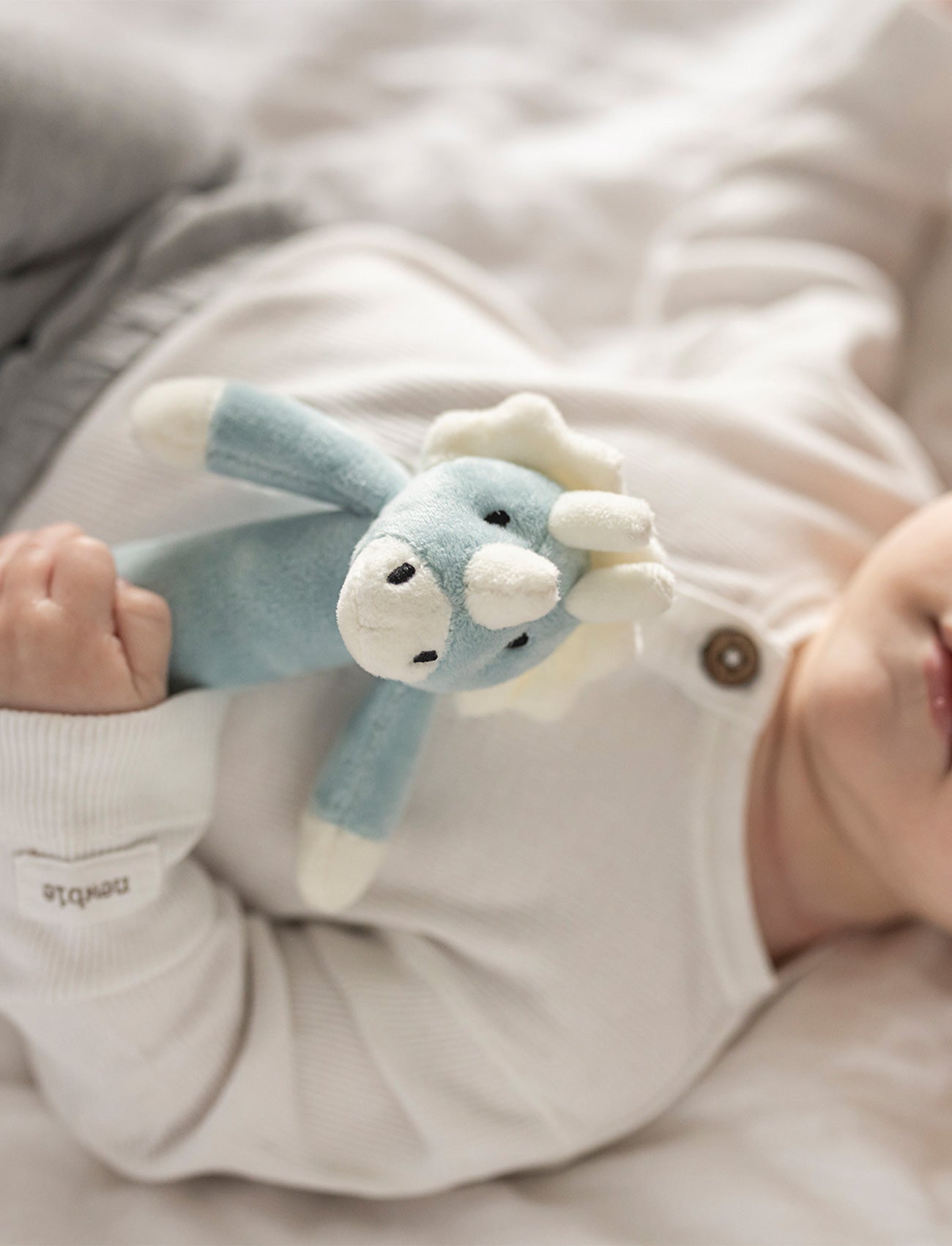 Diinglisar, Rattle, Dino