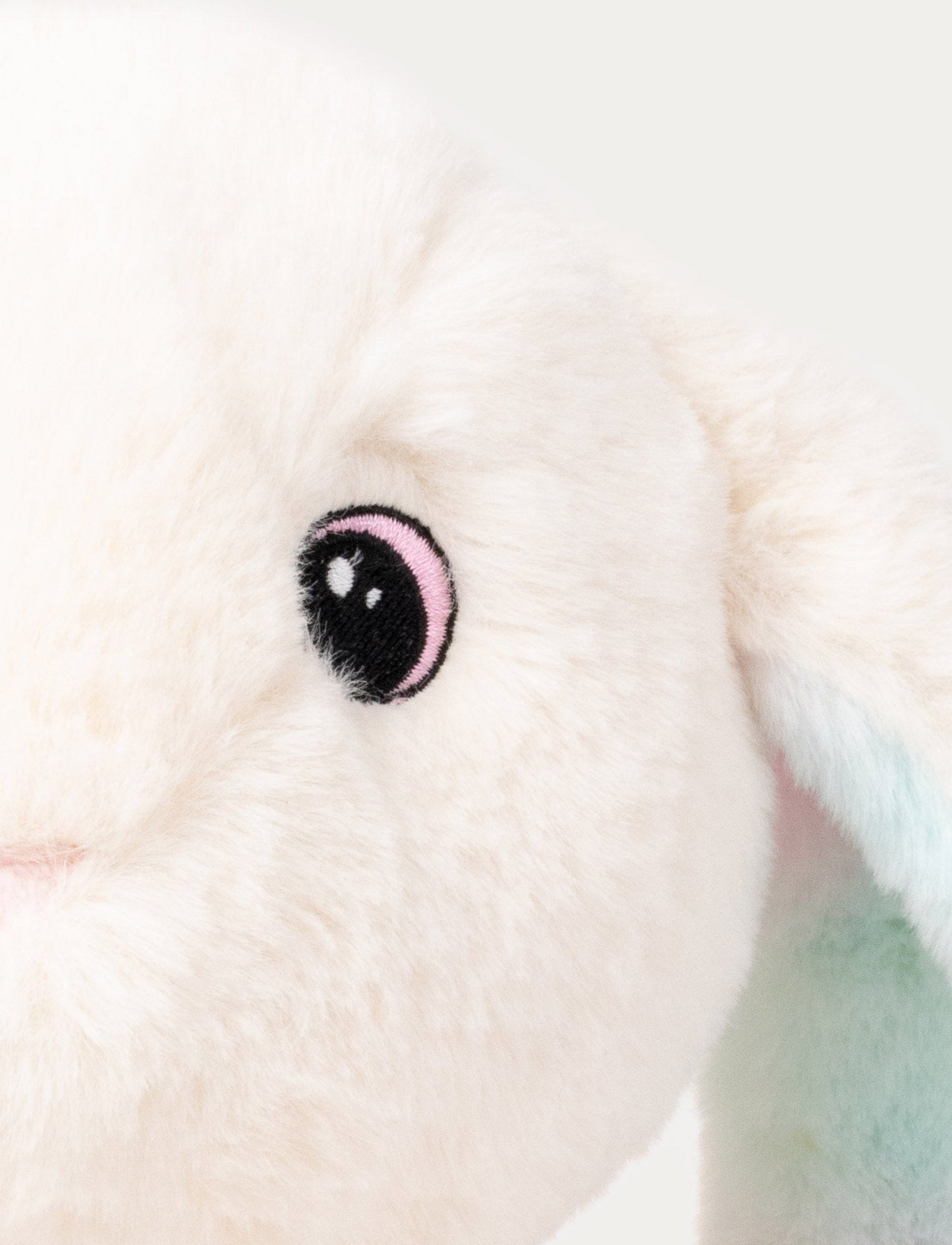 Cyndi, Kanin, Regnbågsfärgad