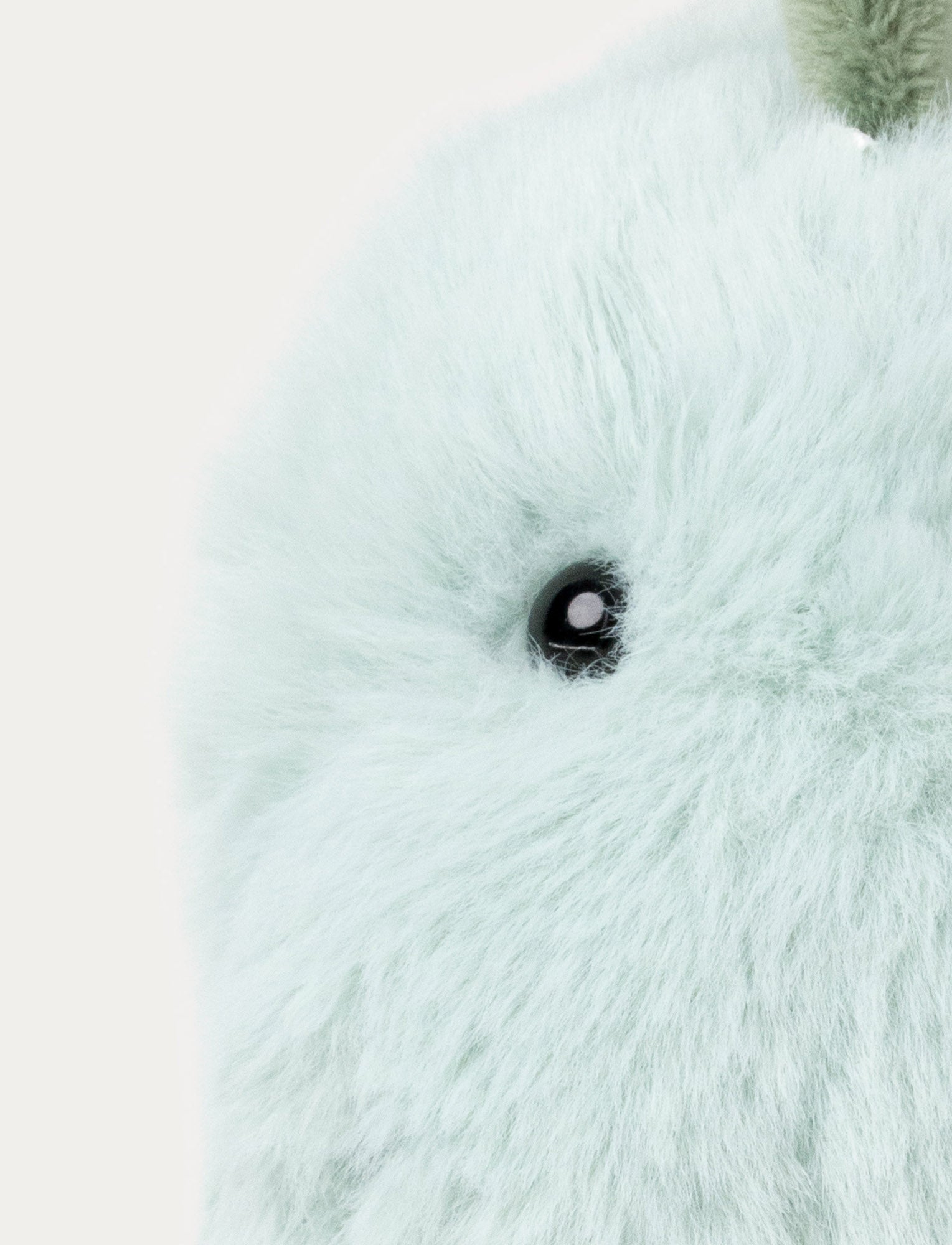  Image of Petri, Dino