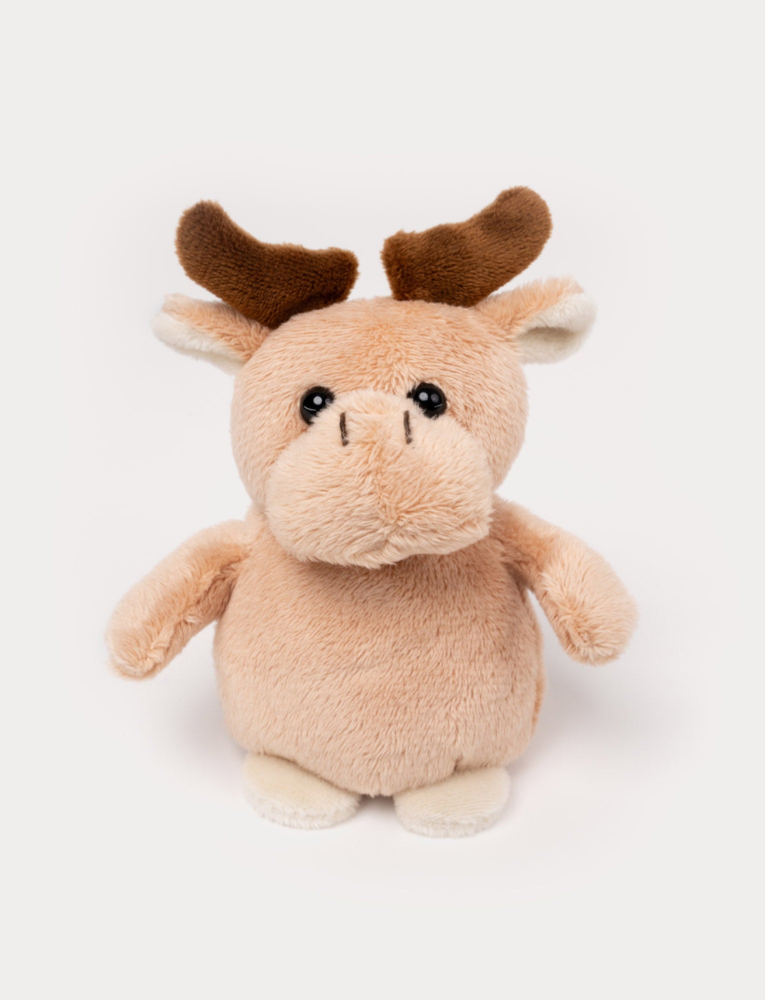  Image of Swedish Forest Animals