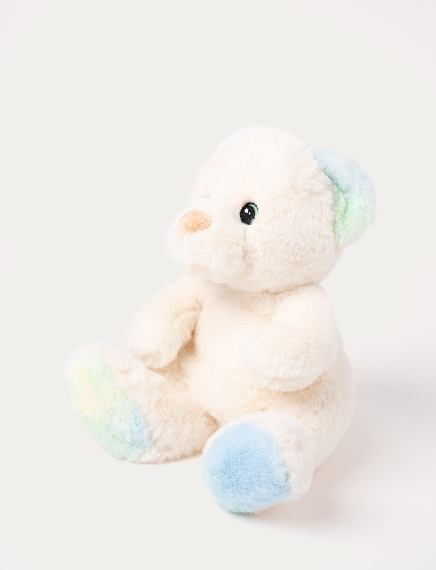  Image of Charlie, Teddy Bear, Rainbow-Colored